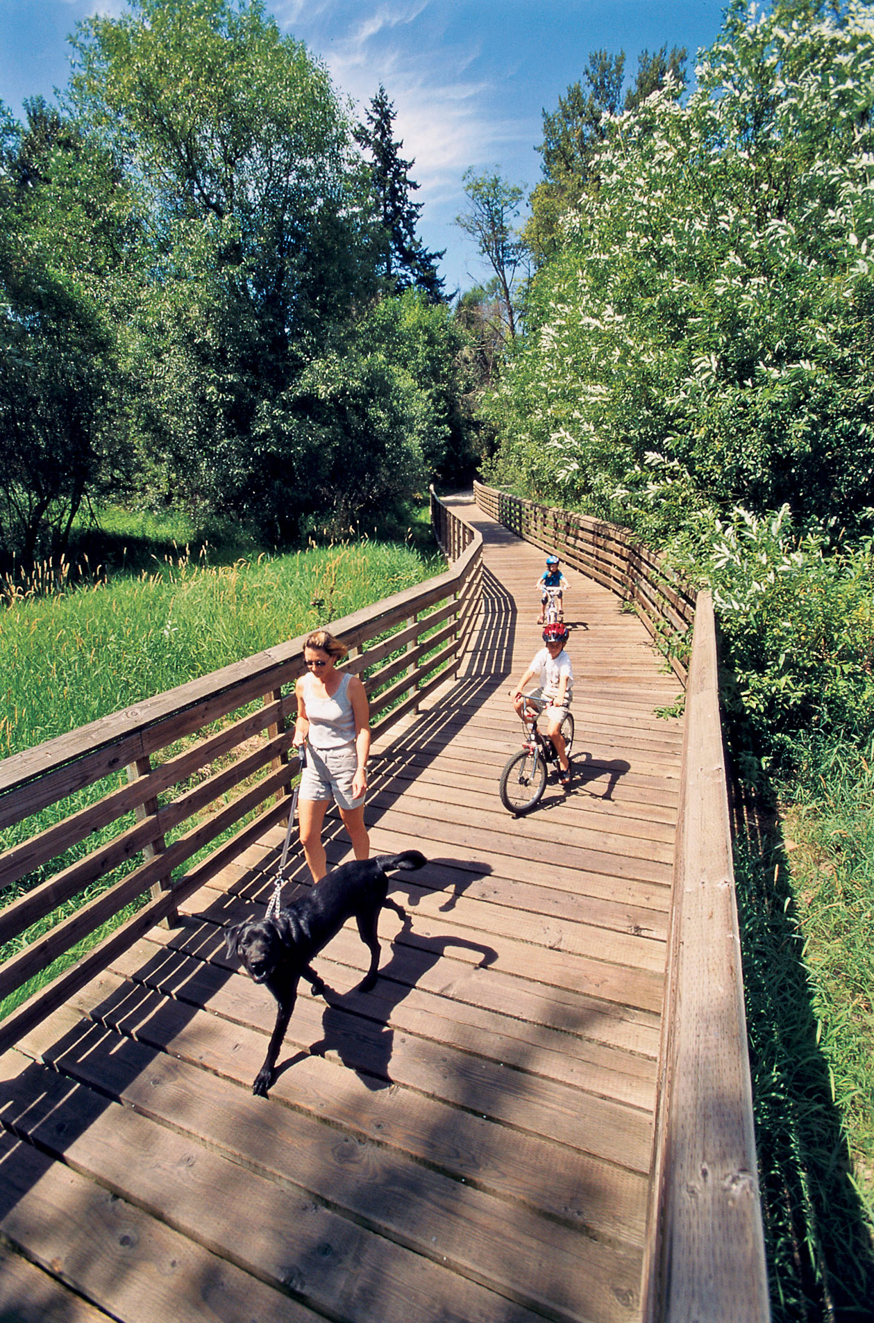 Northwest Day Trip: Treasures of Sherwood