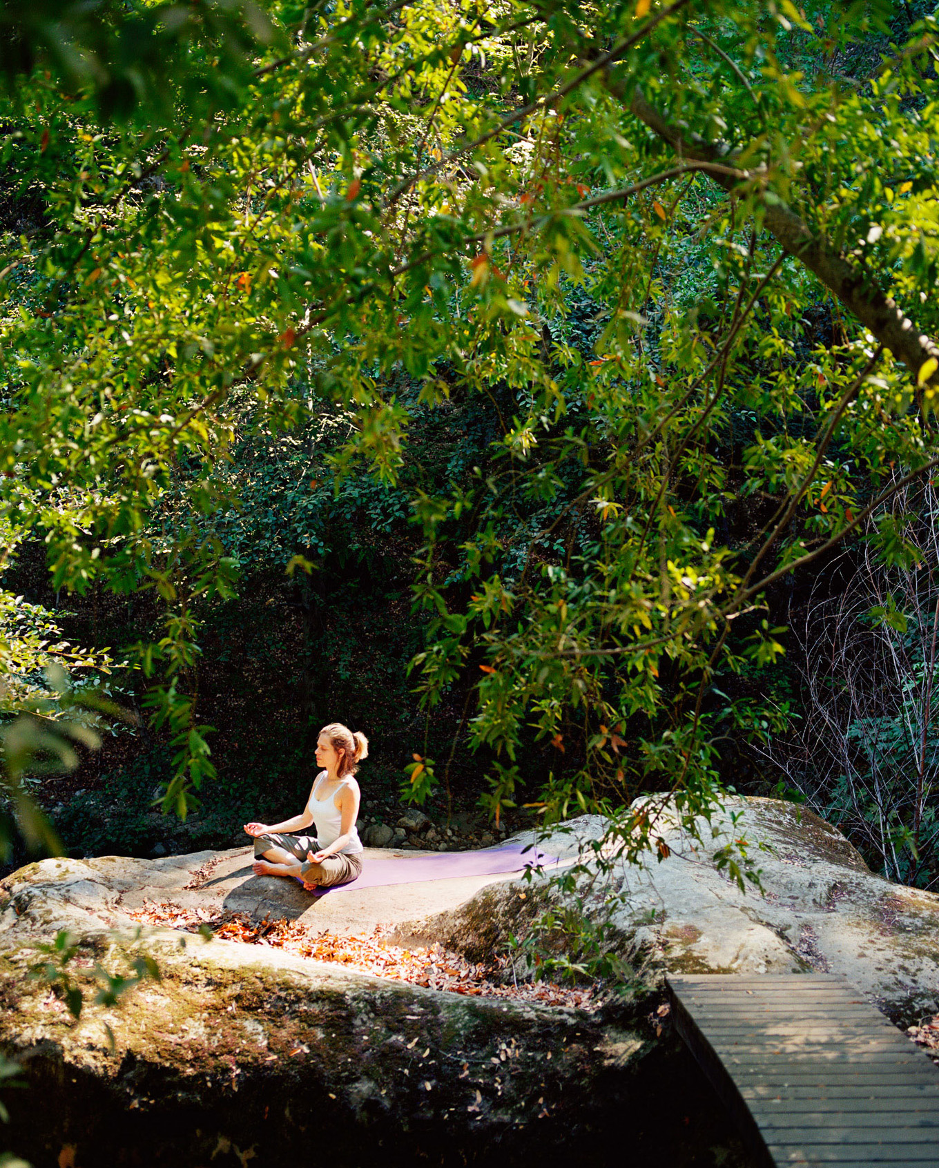 Inside California’s Original Zen Retreat