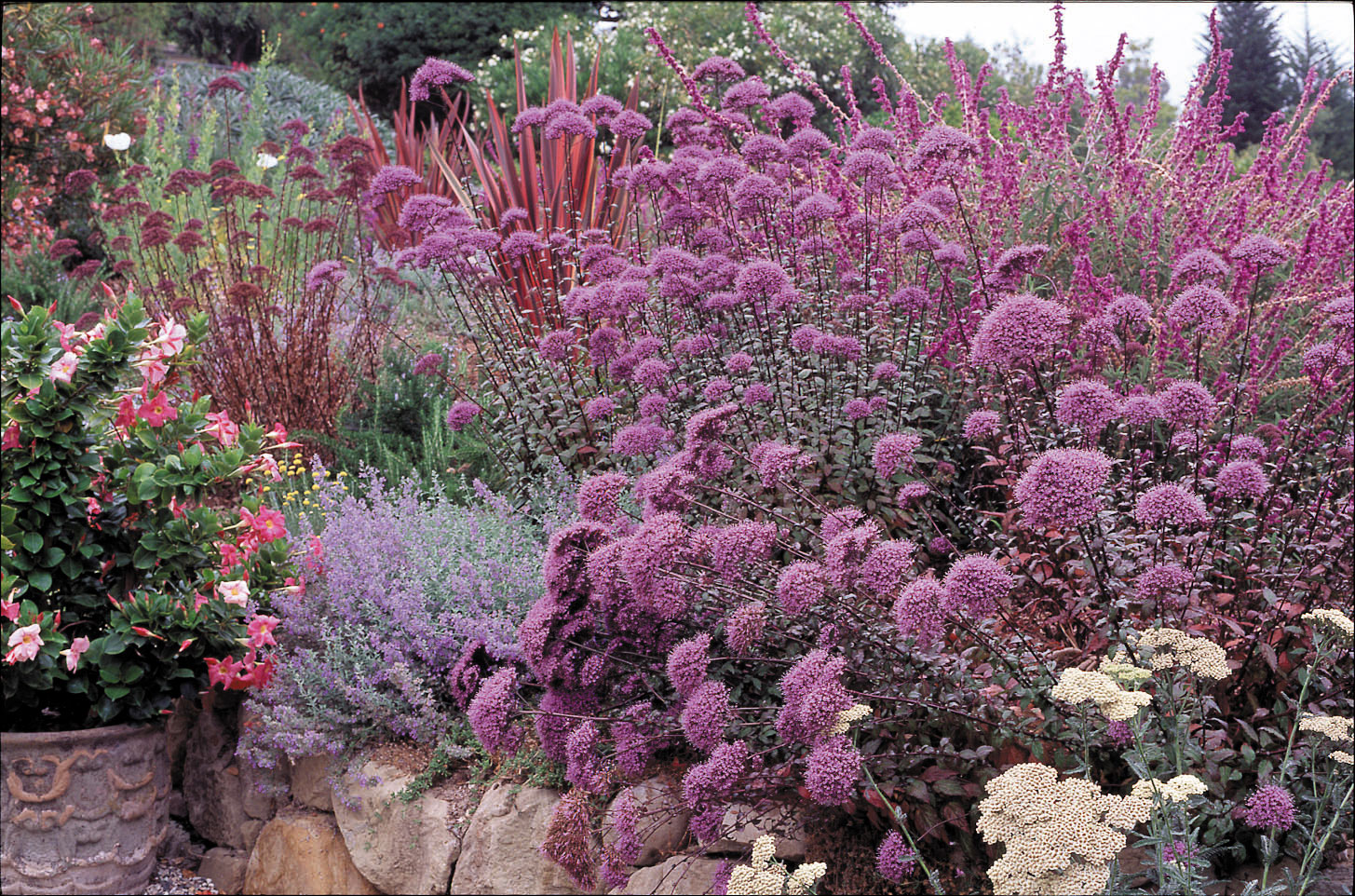 Gauzy Textures, Gutsy Plants