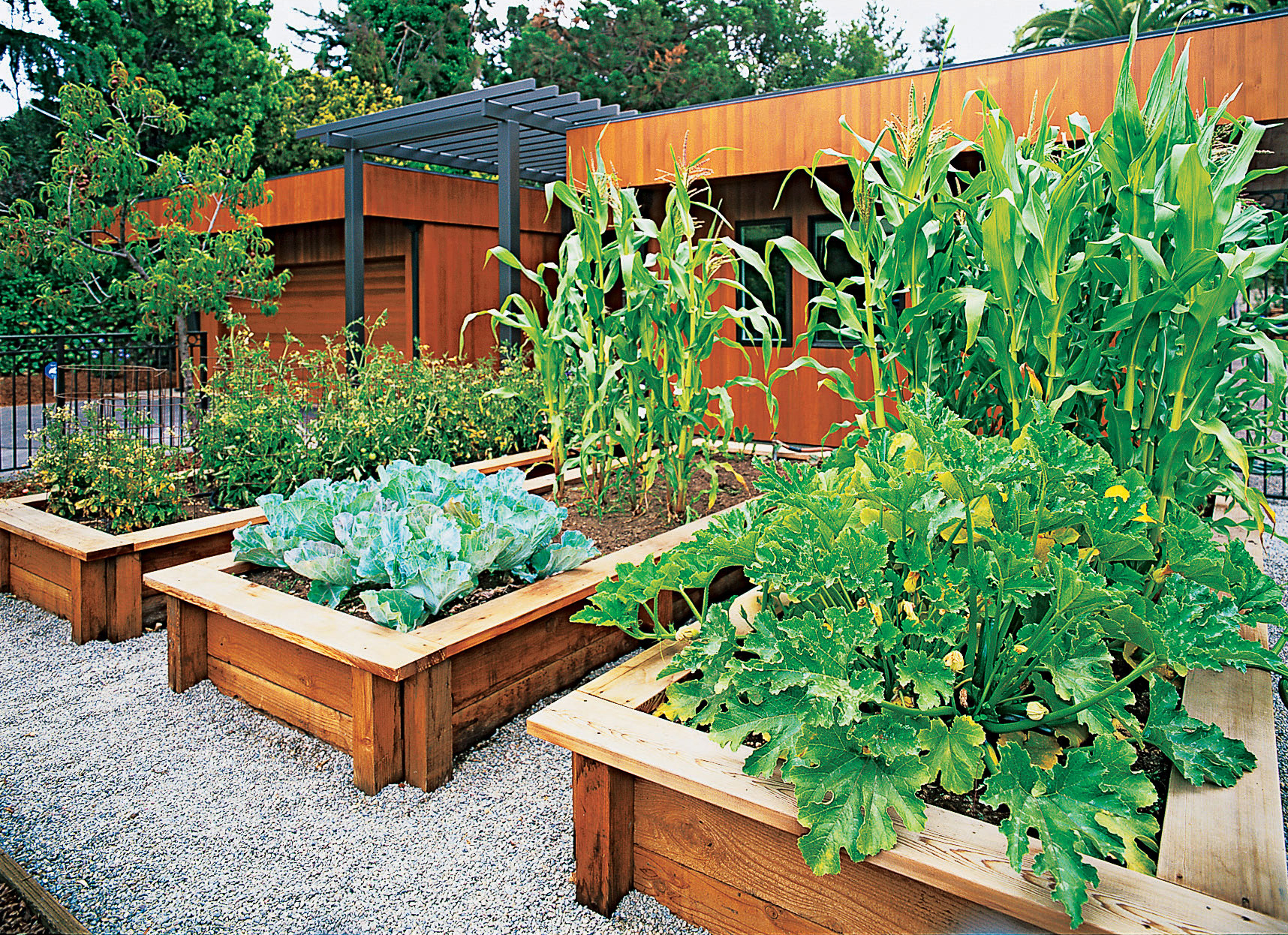 for-the-aspiring-edible-gardener