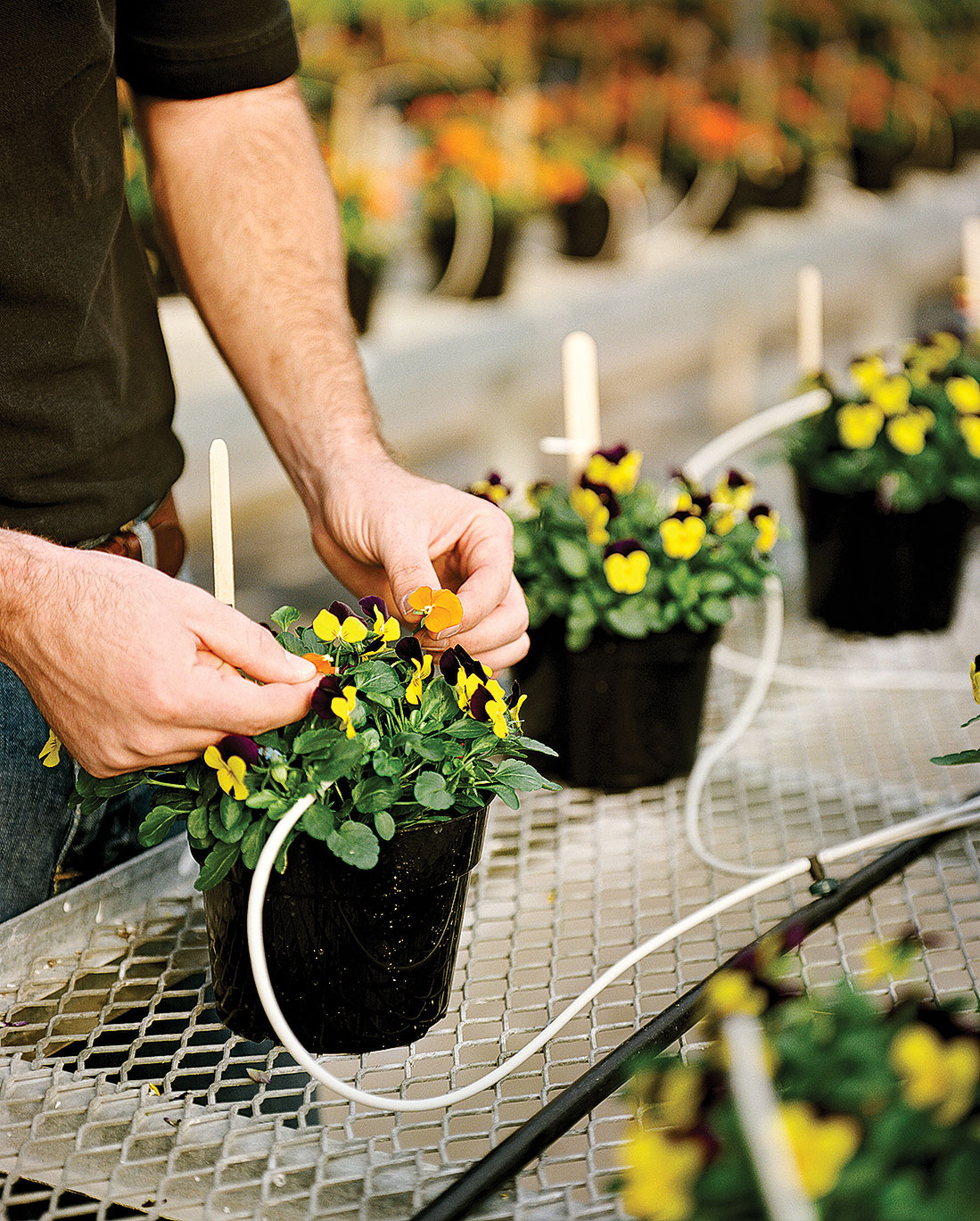 Pacific Northwest: Spring Shopping Tips