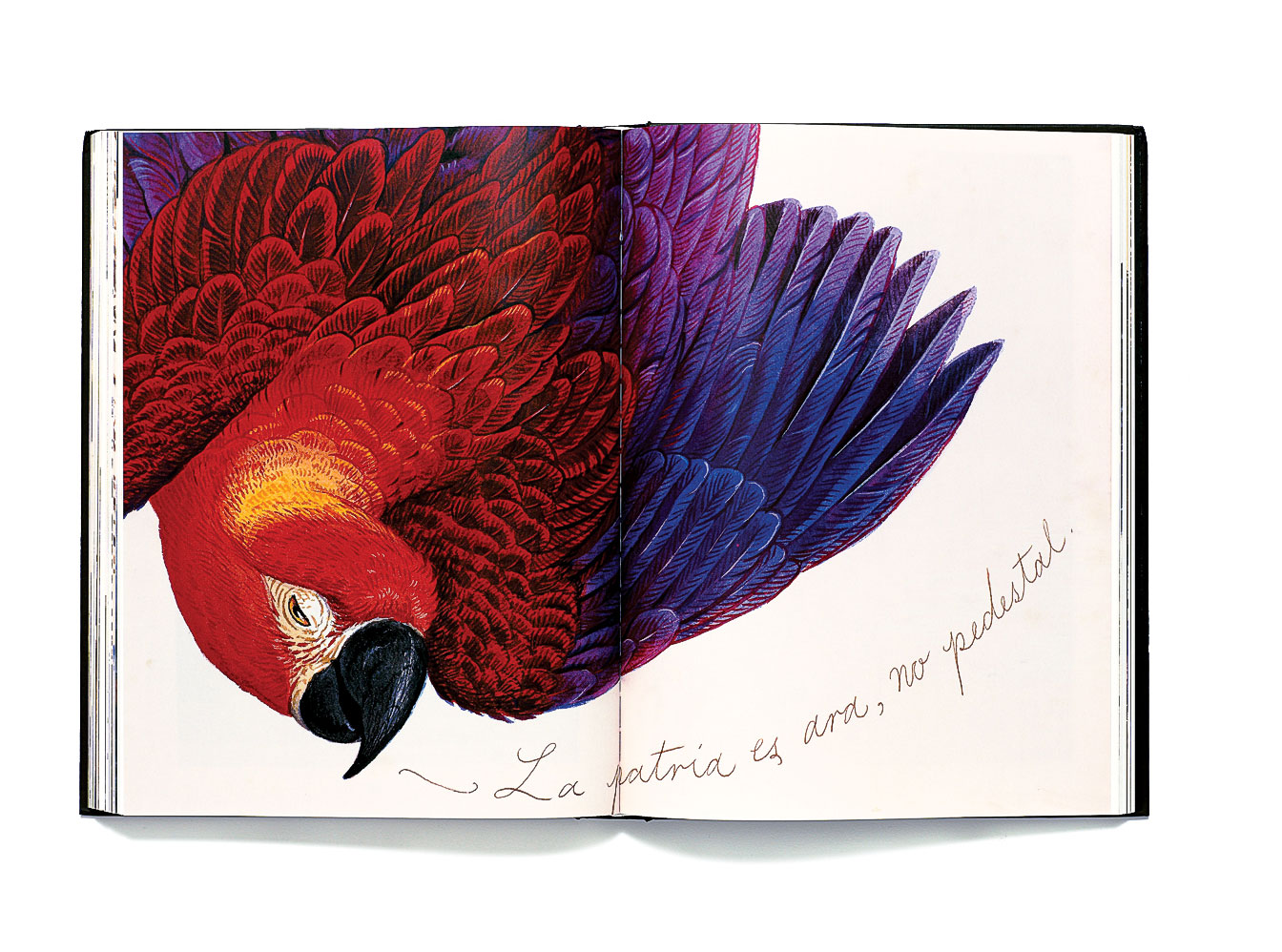 walton-ford-pancha-tantra