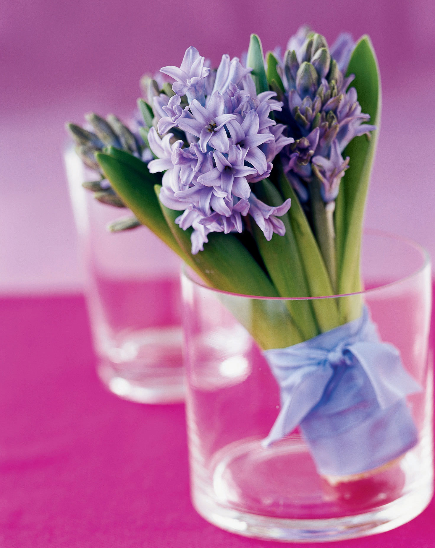 Create a Bouquet of Hyacinths