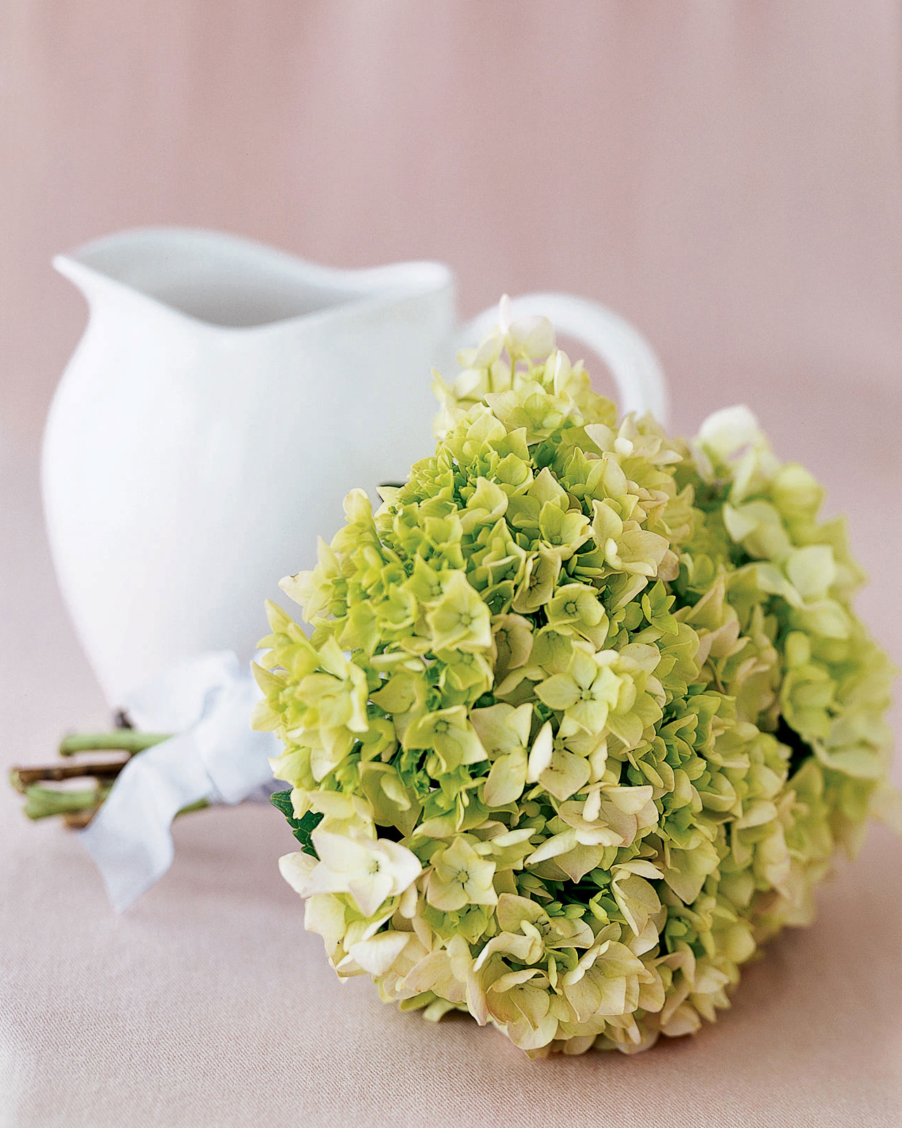Create a Bouquet of Hydrangeas