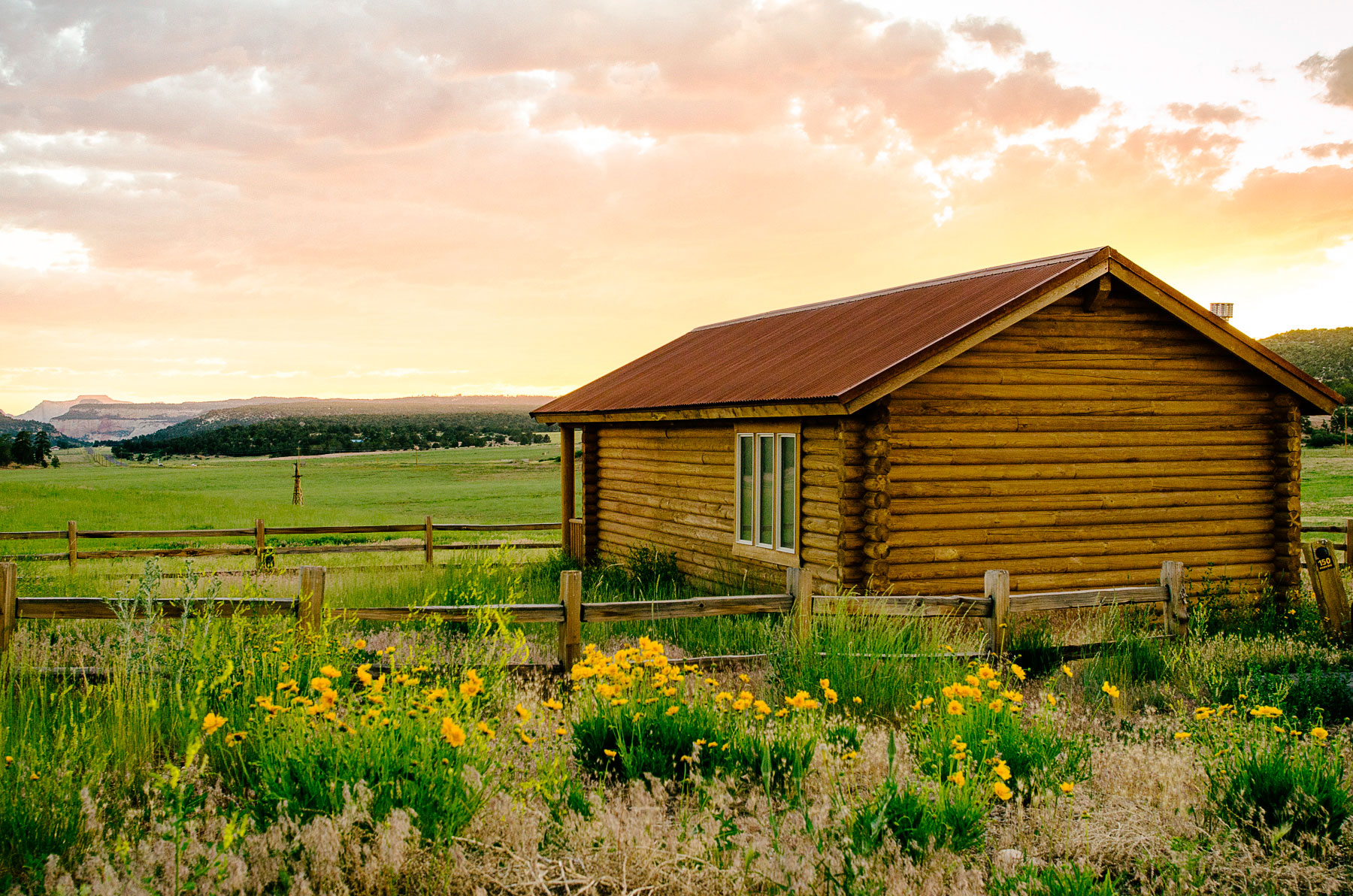 you-want-a-civilized-room