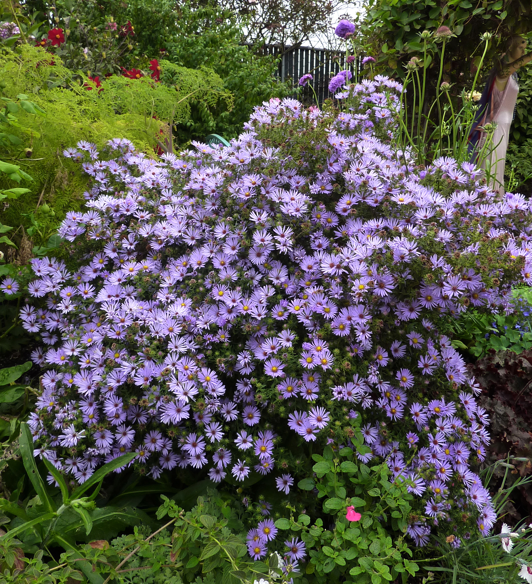 Spring Is Coming, So Take Care of These Gardening Checklist Items