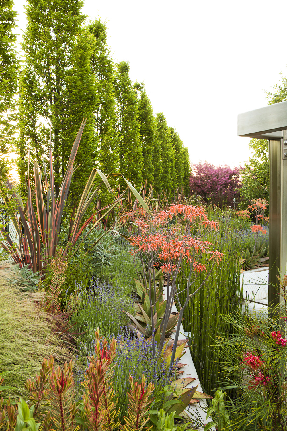 mediterranean-symphony