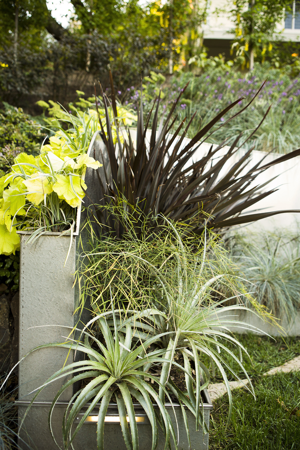 cool-calm-and-collected