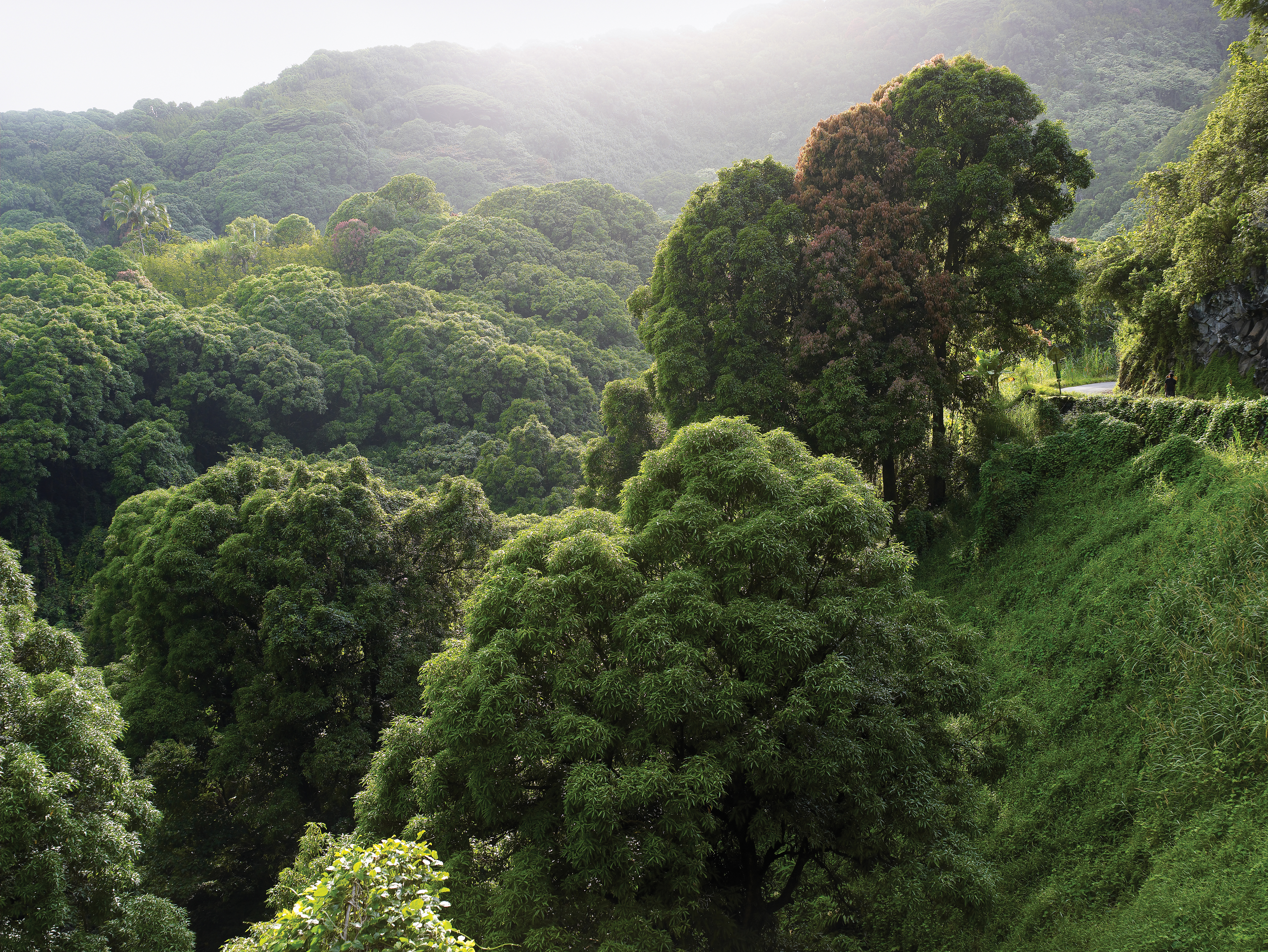 drive-the-highway-to-heaven