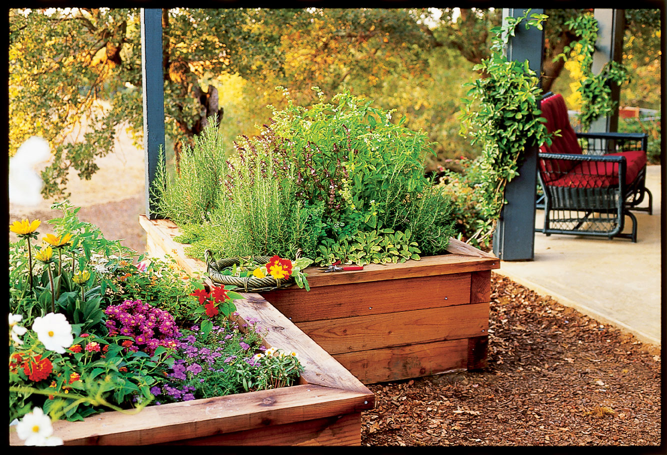 Raised-Box Herb Garden