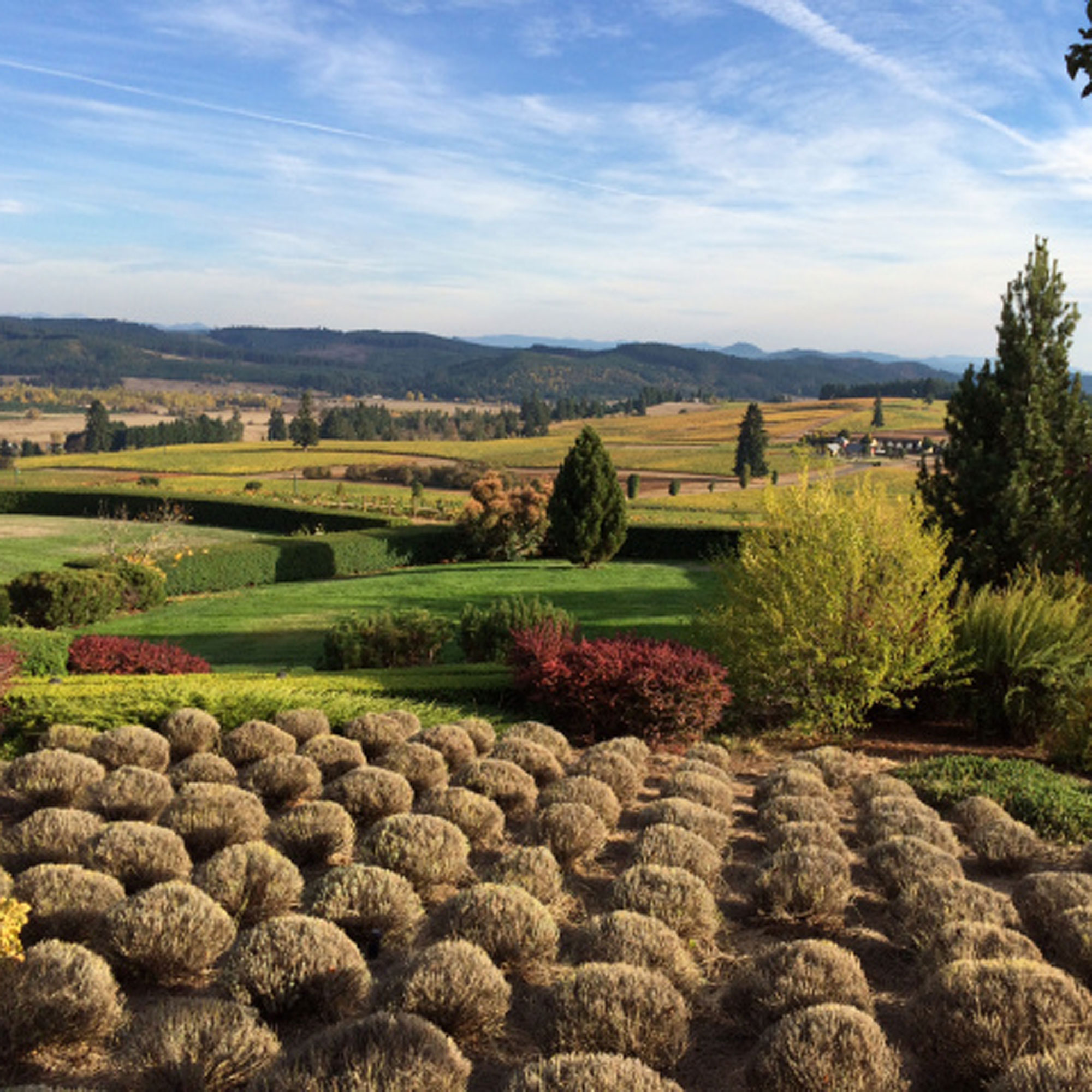 willamette-valley-or