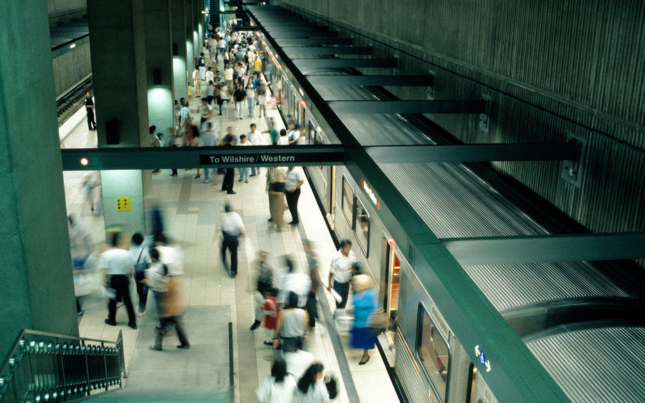 The Best Part of L.A.’s Subway Expansion May Be the Fossil Discoveries
