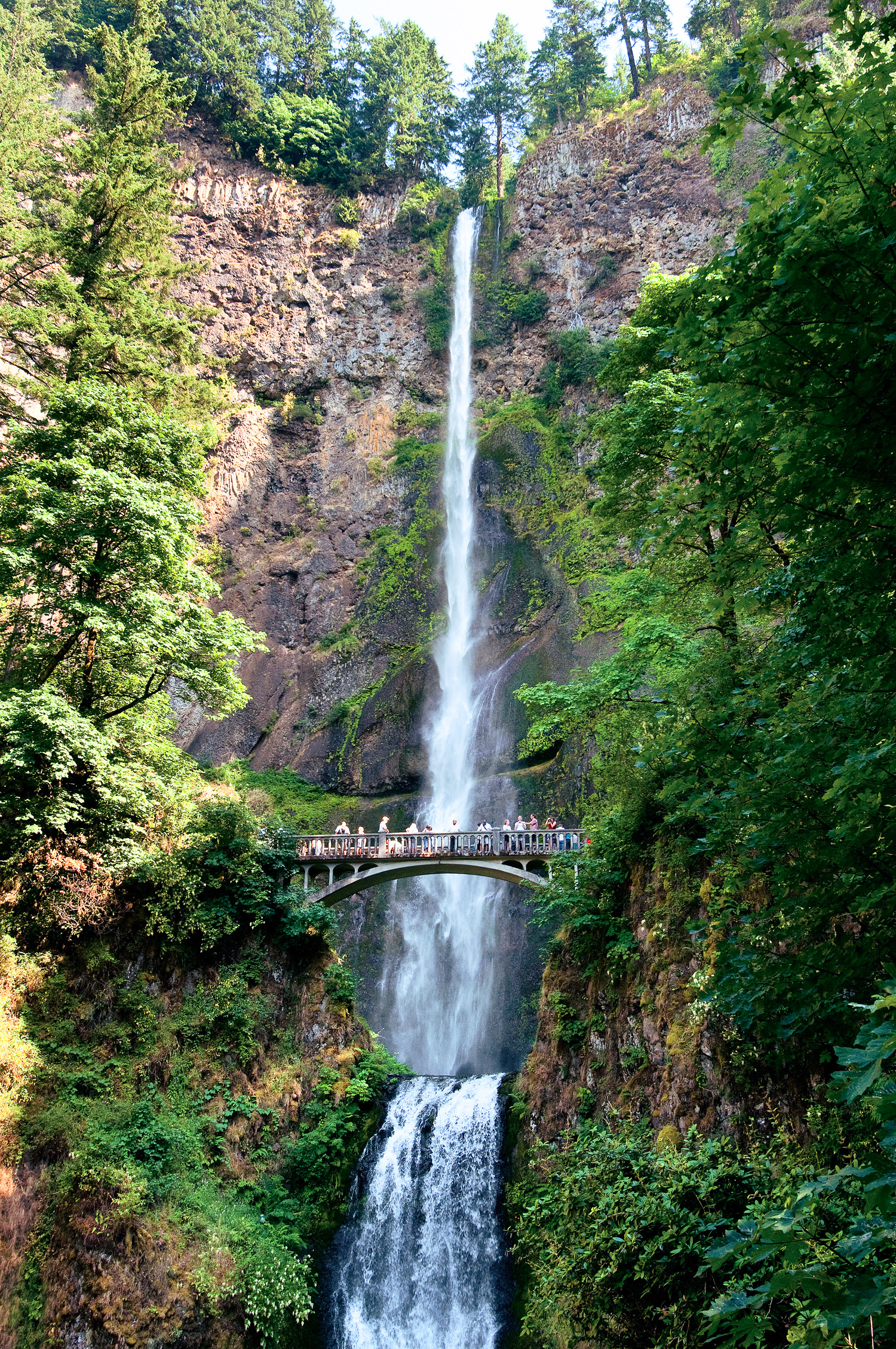 get-serenaded-by-cascades