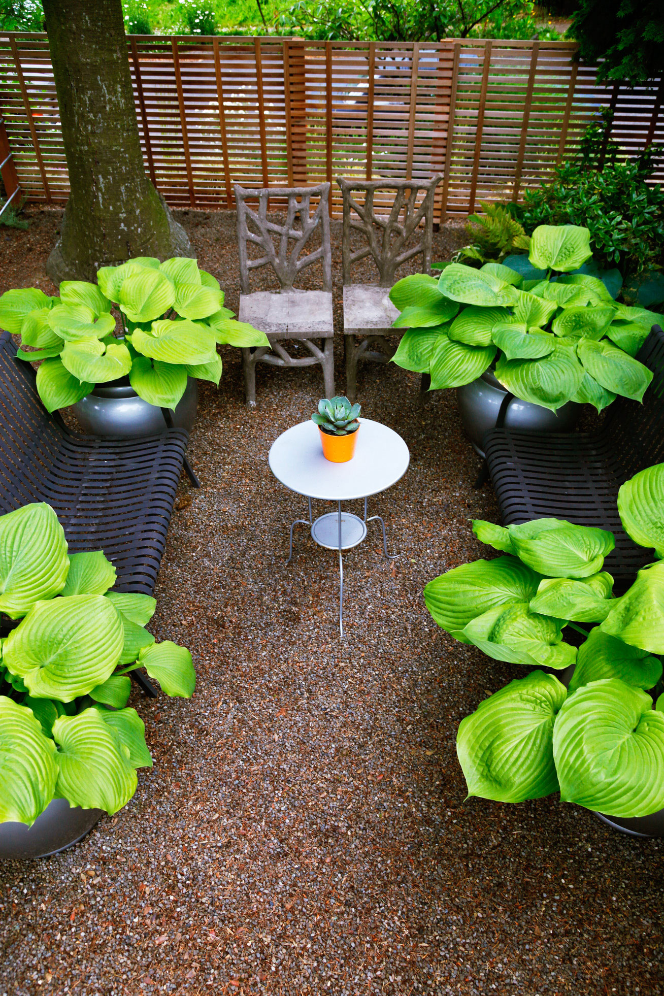 From Driveway to Cozy Courtyard