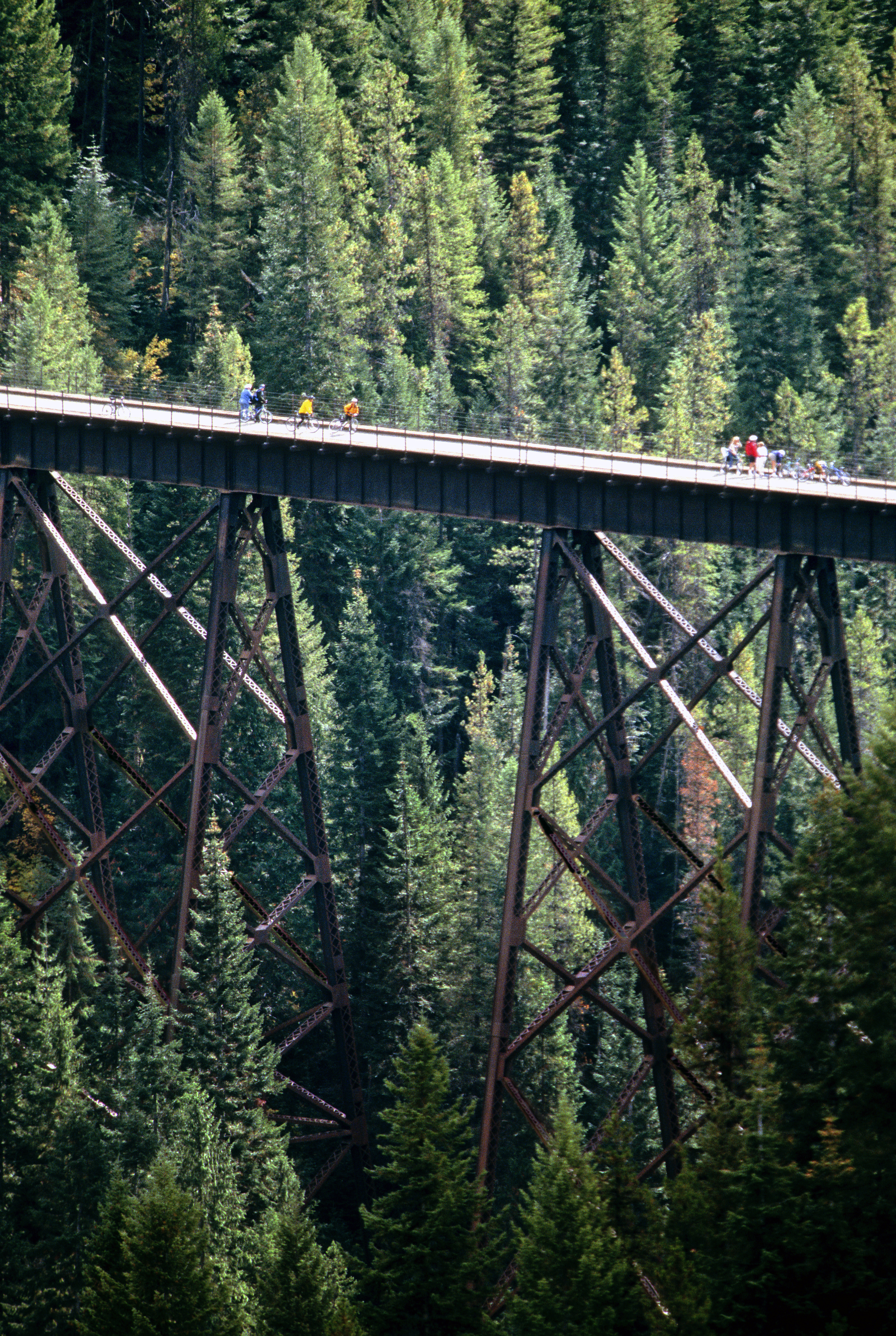 cycle-high-in-the-sky