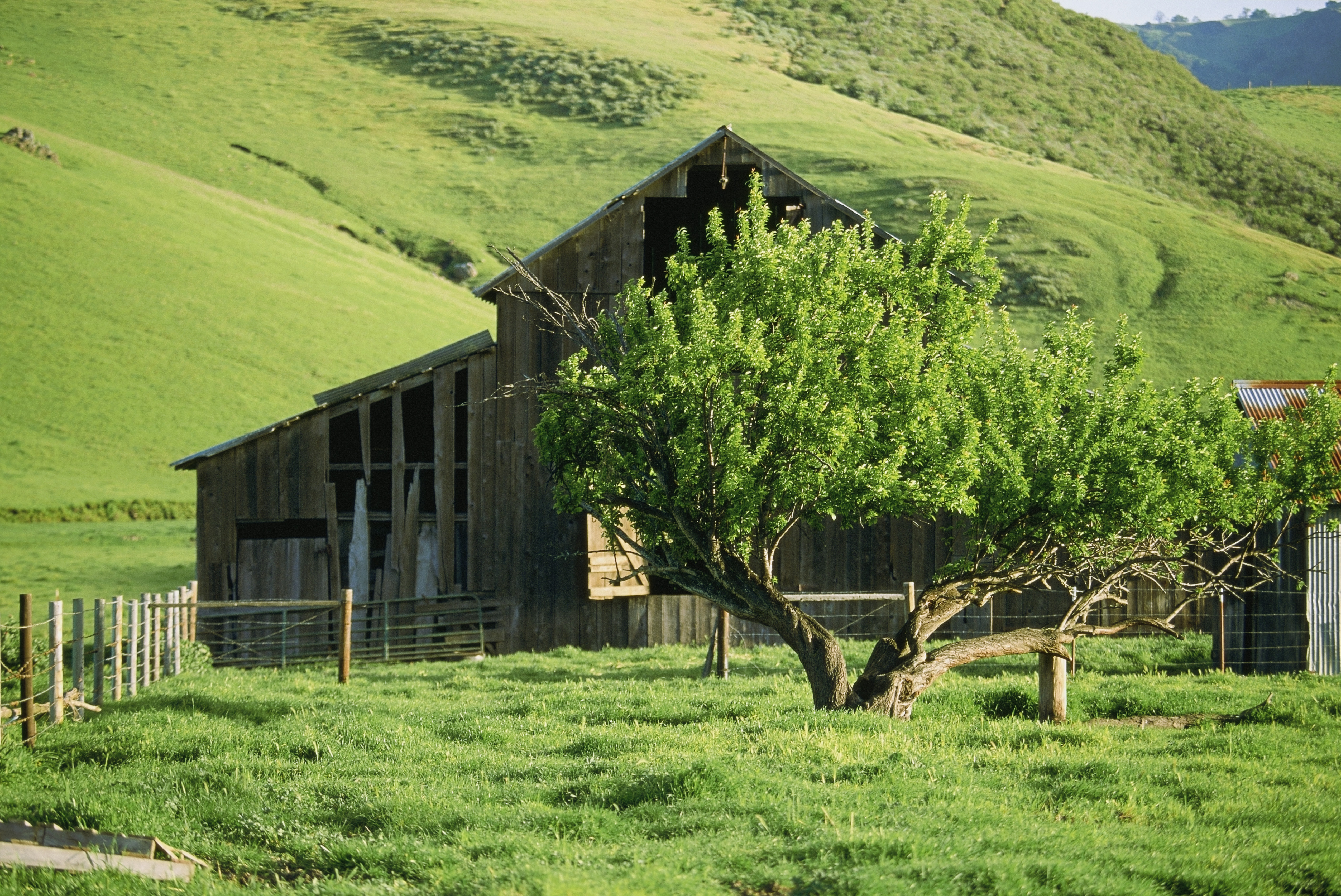 san-luis-obispo-ca-eating-local