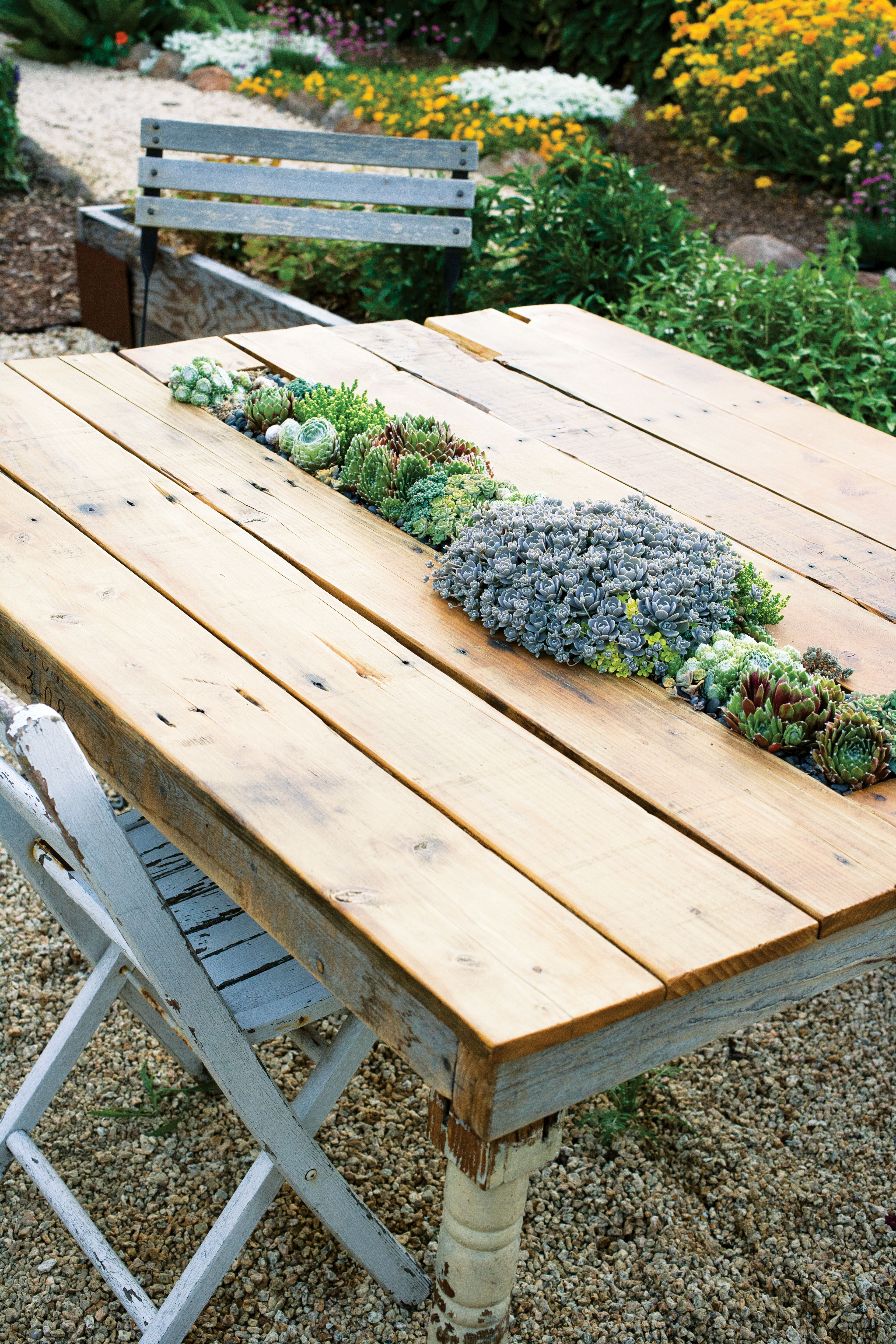succulent-table