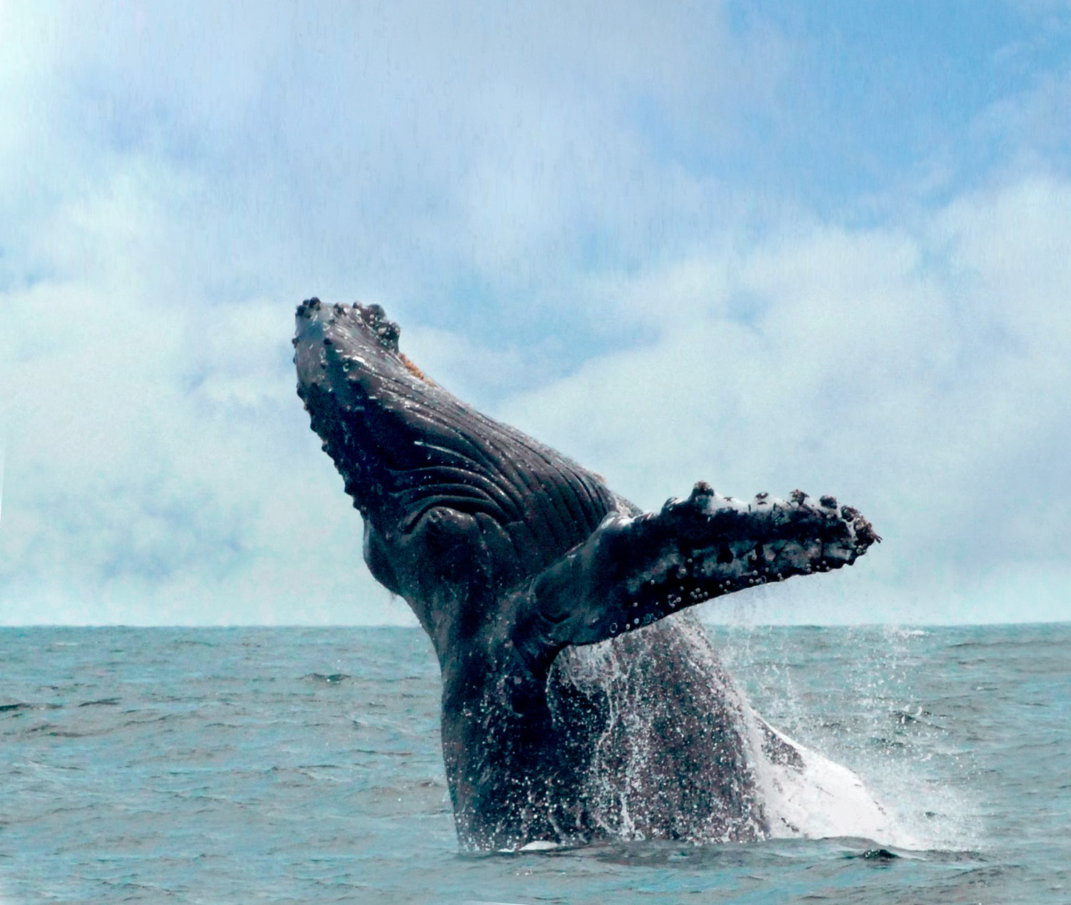 Ted Danson’s California