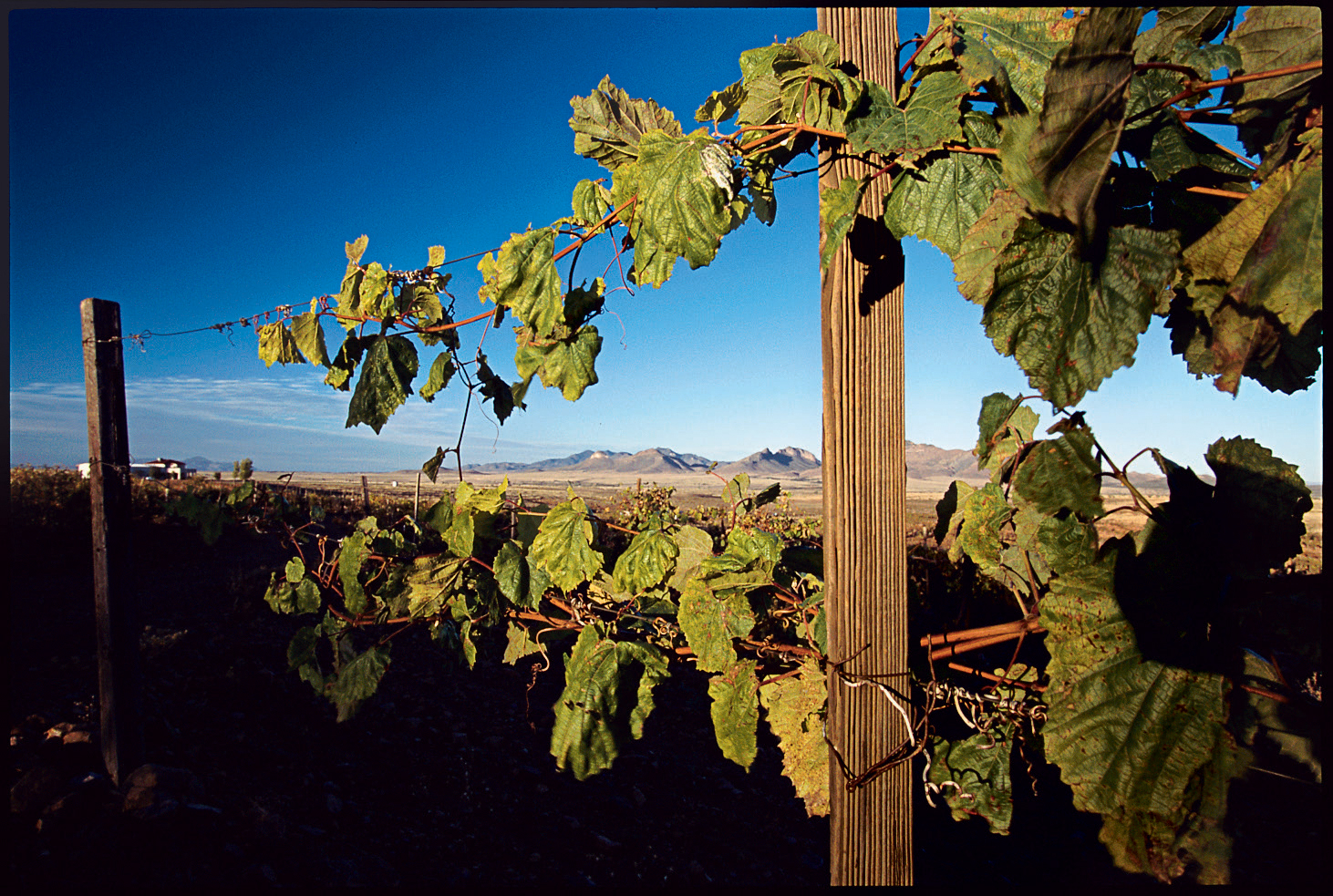 southwest-arizona-vs-new-mexico