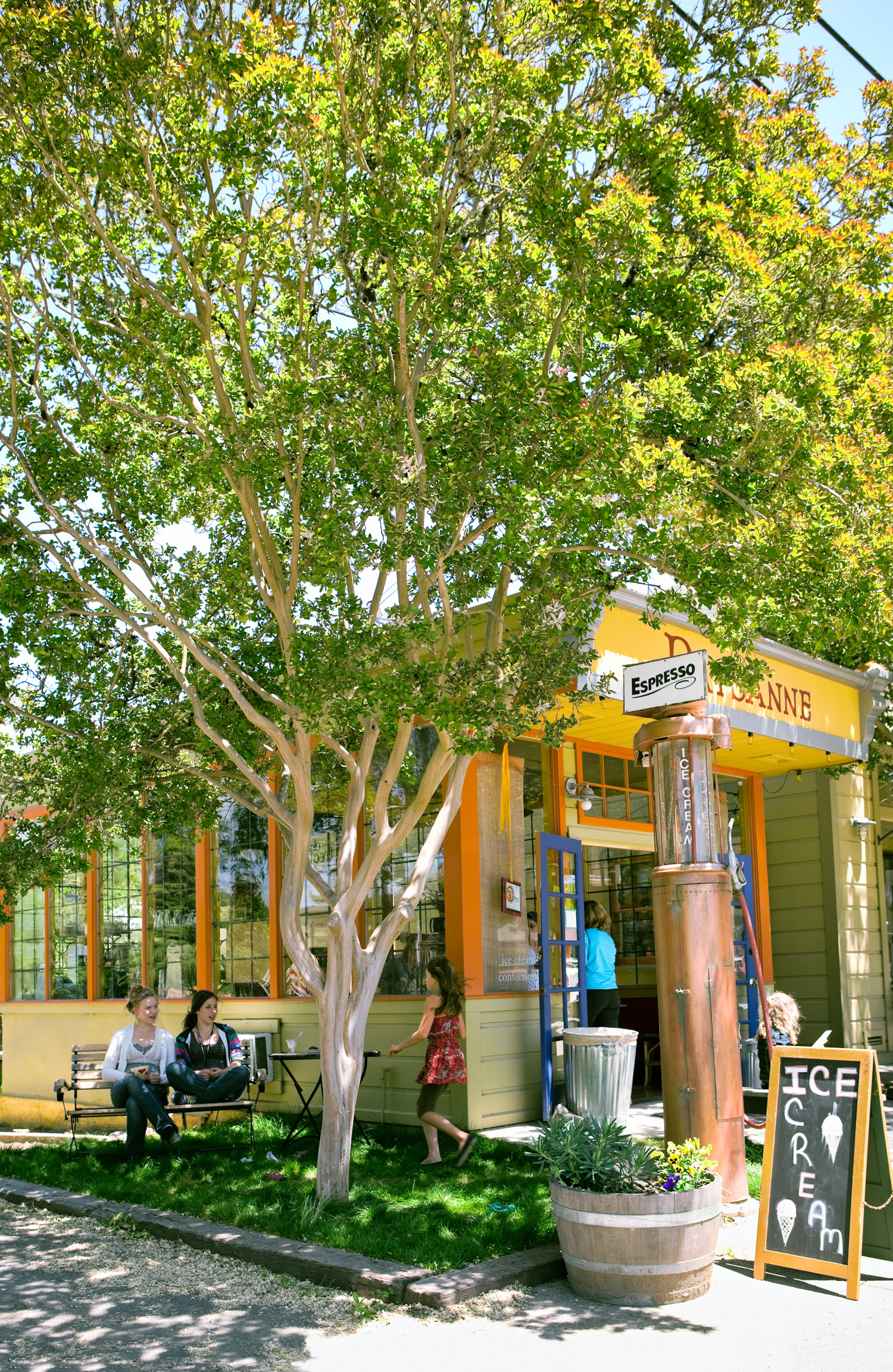 One Perfect Day in Boonville, CA