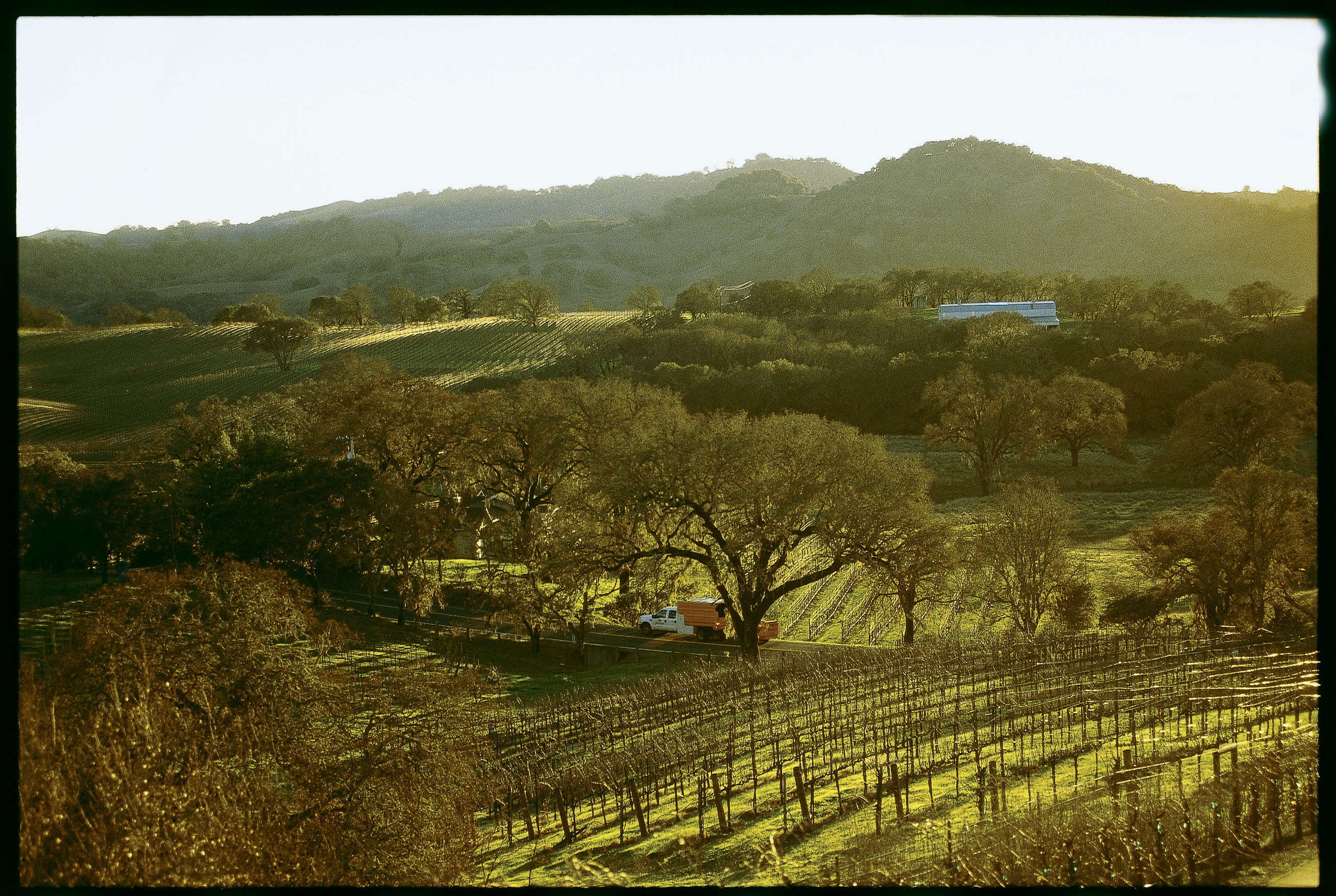 northern-california-napa-vs-sonoma