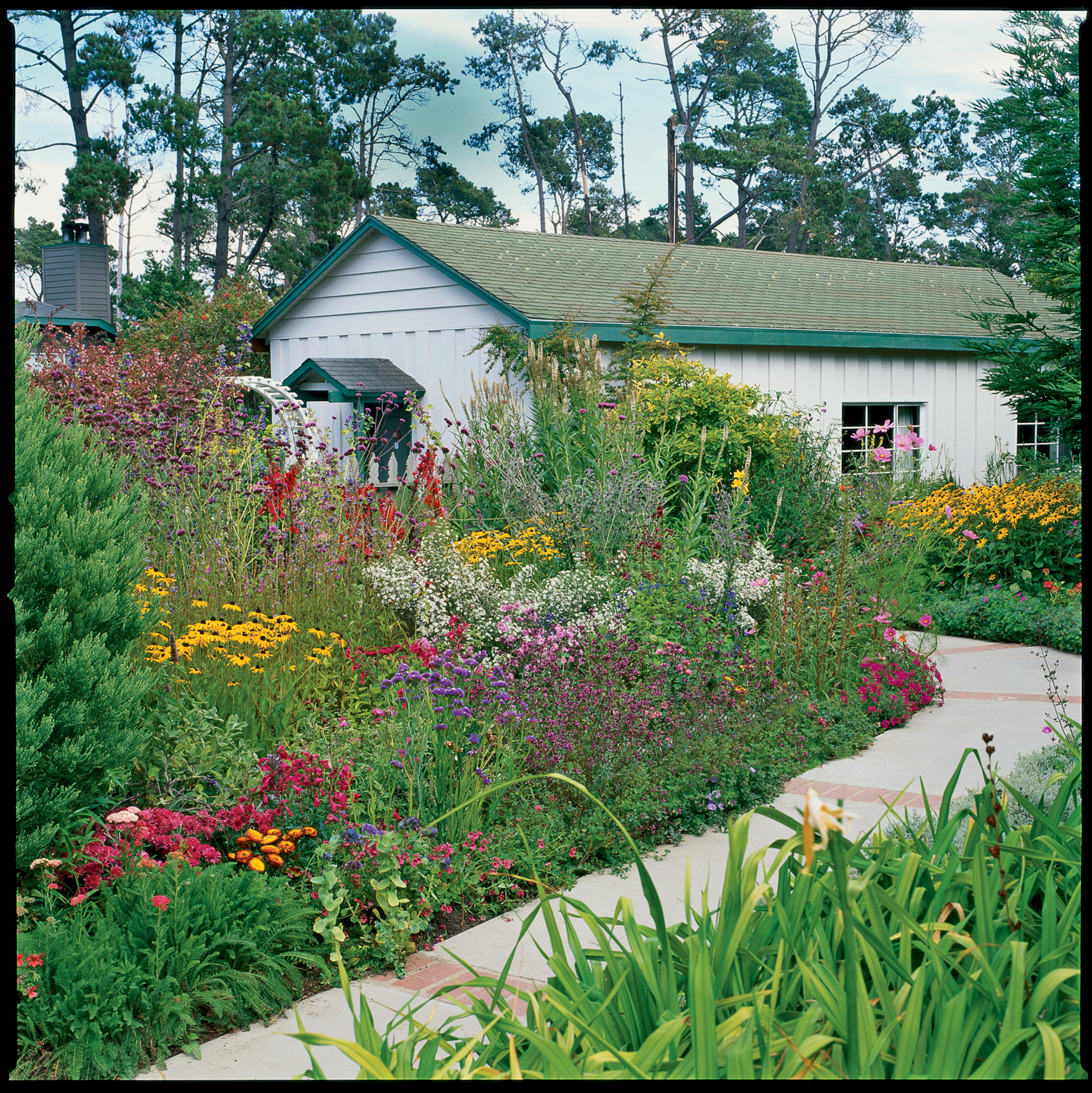 cambria-pines-lodge-cambria