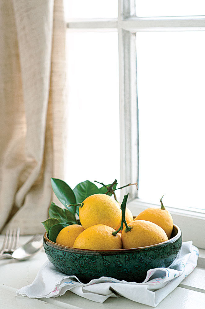 improved-meyer-lemon