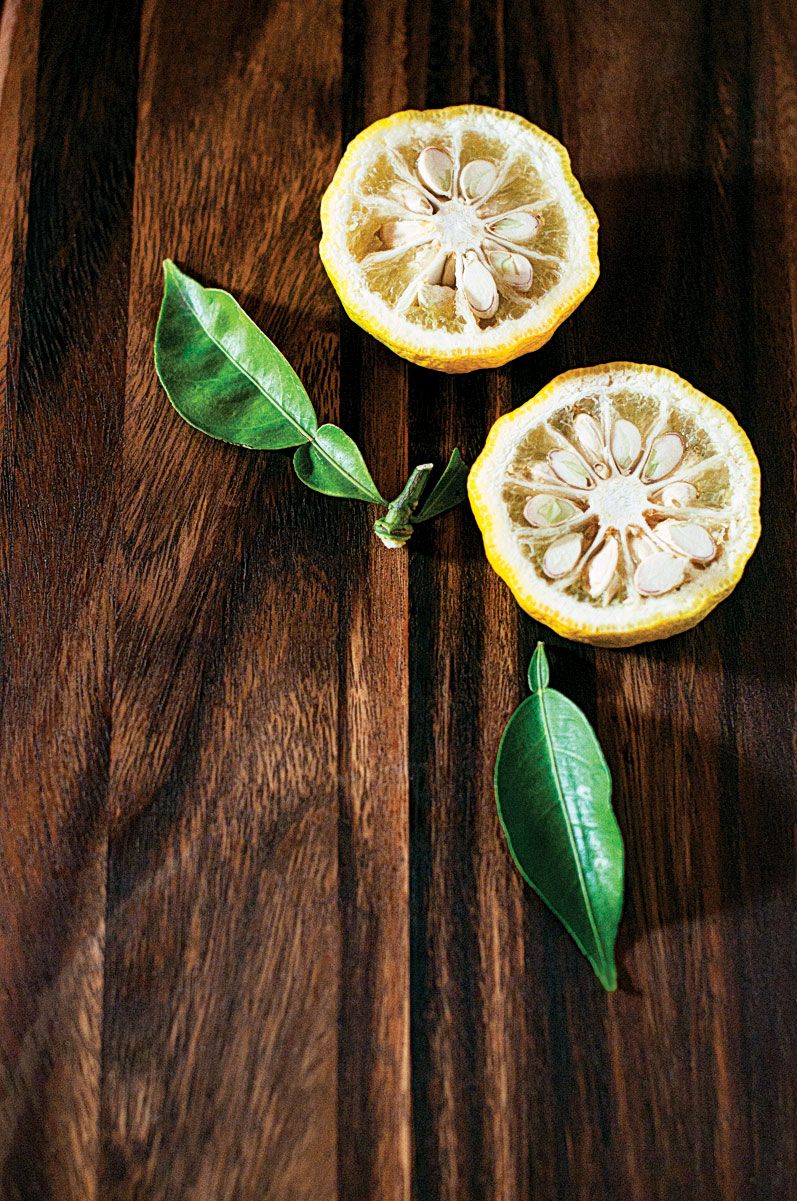 japanese-yuzu