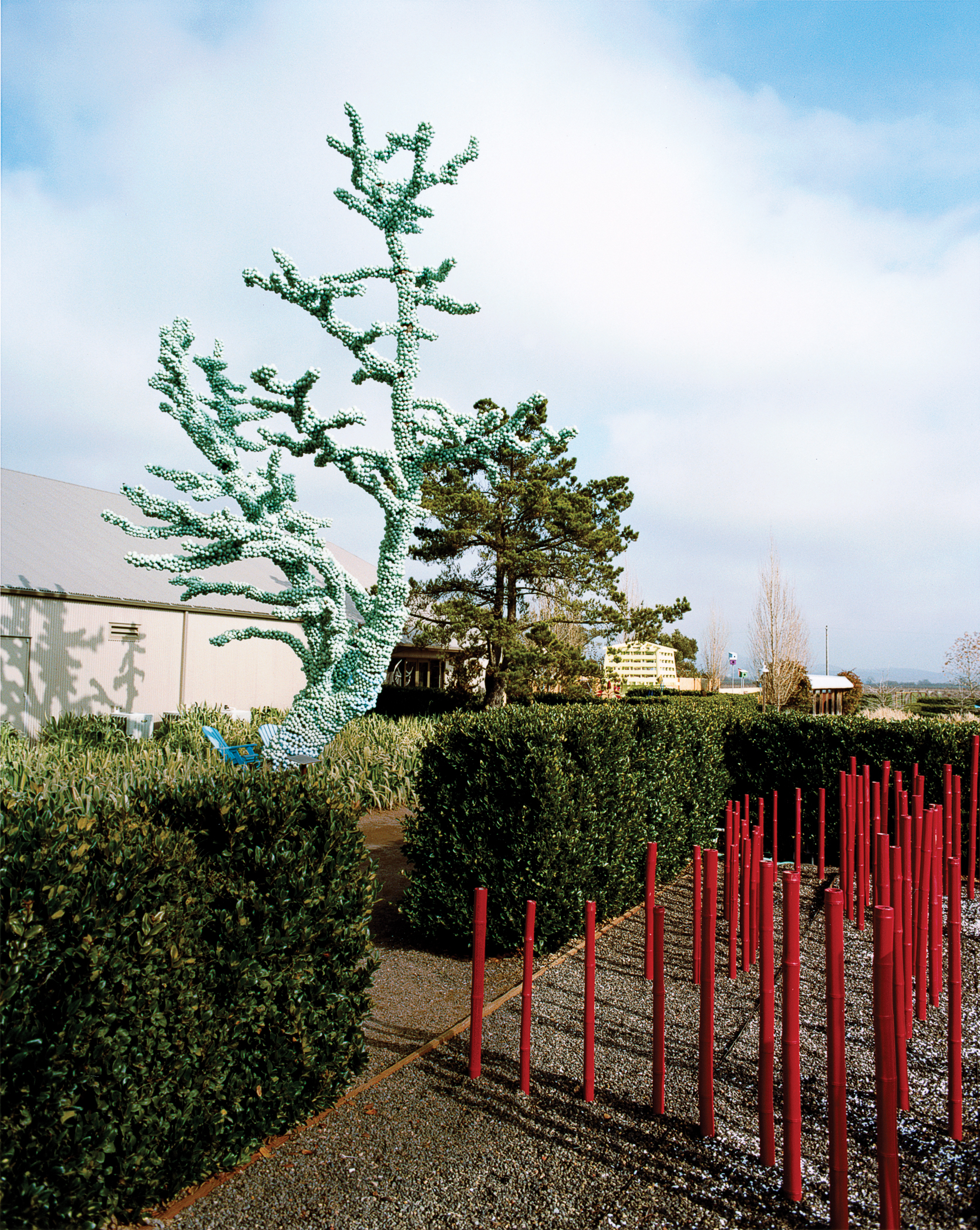 ever-changing-landscaping-sonoma-ca