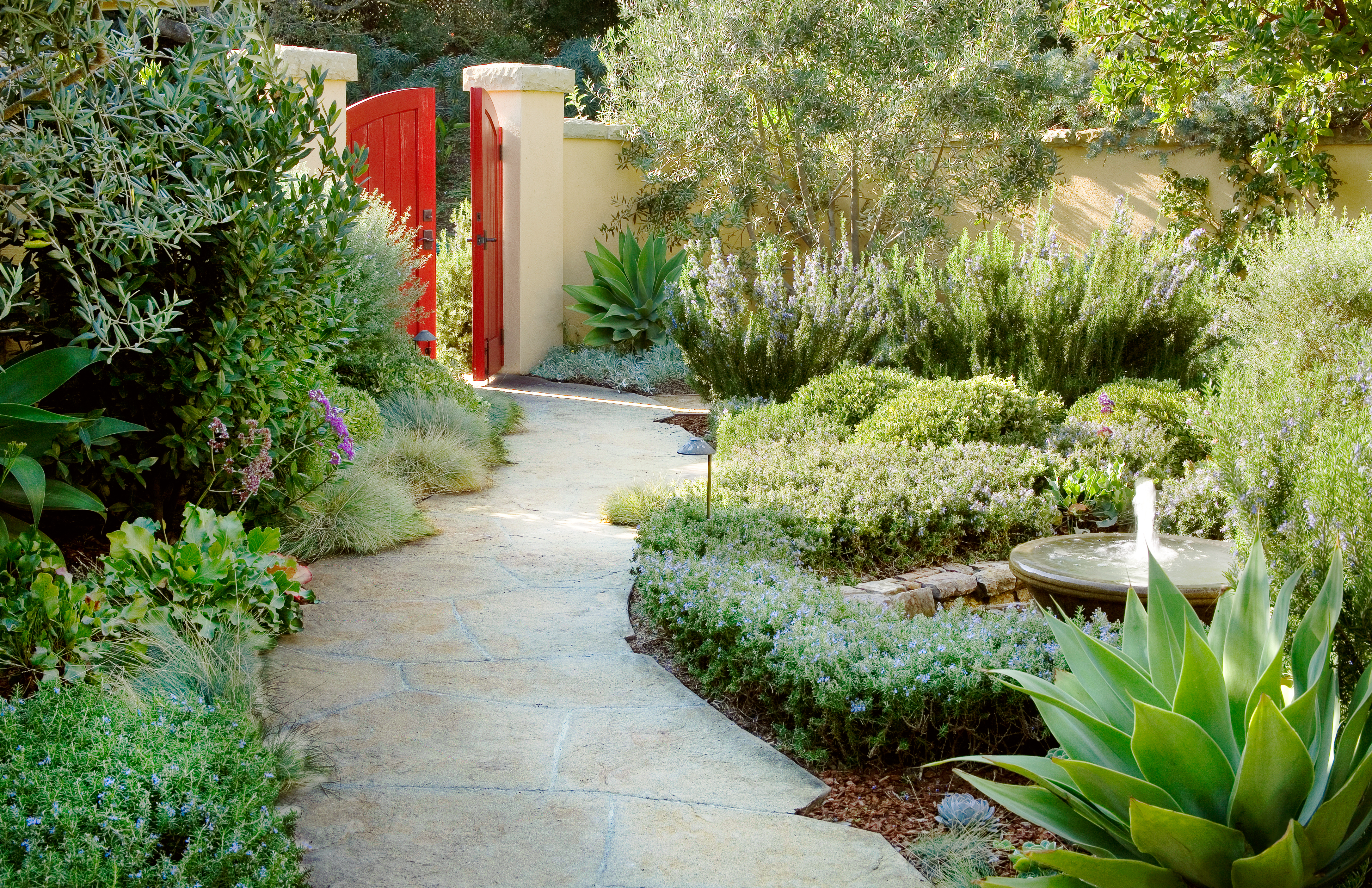 stamped-concrete-path