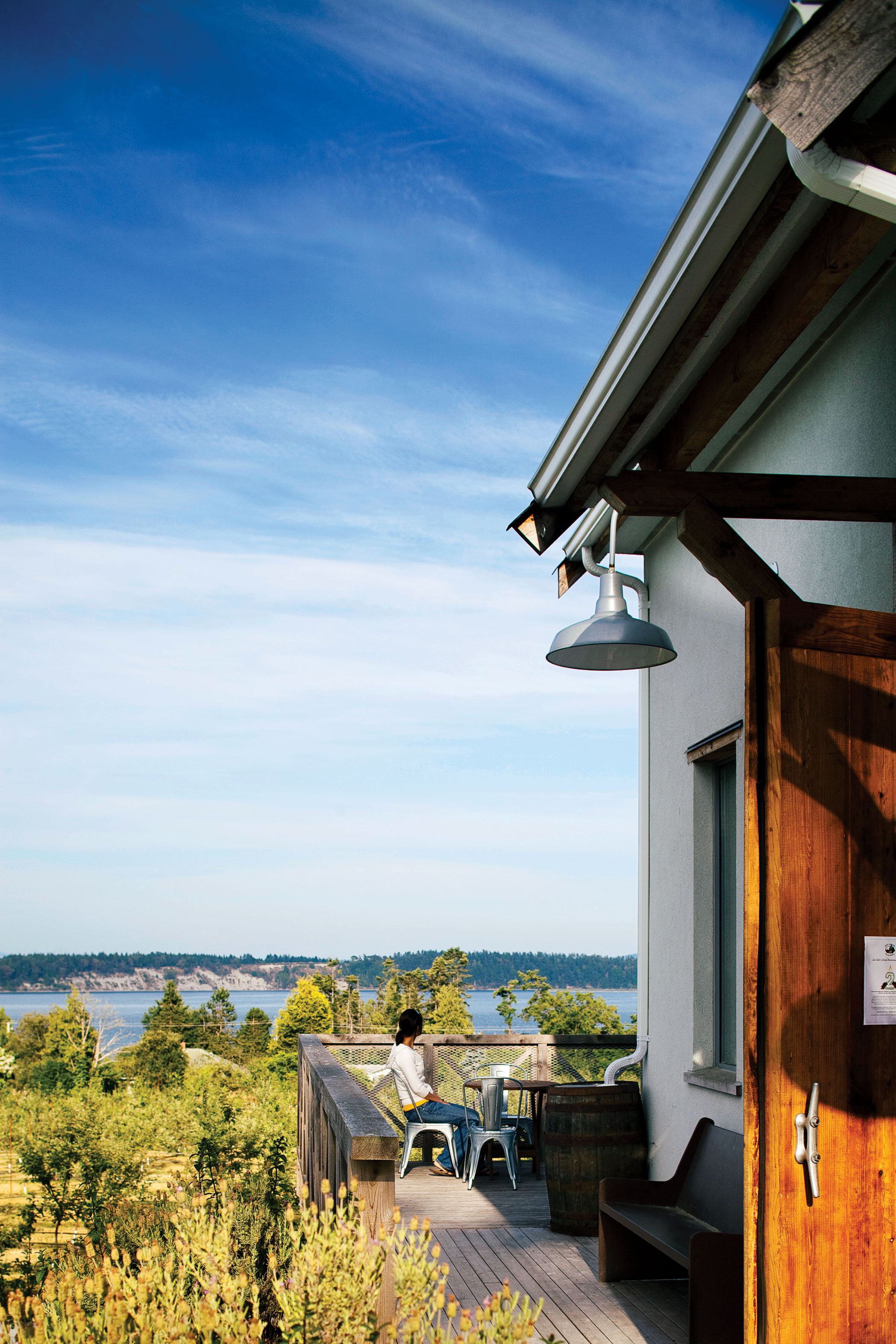 cider-saanich-peninsula-b-c