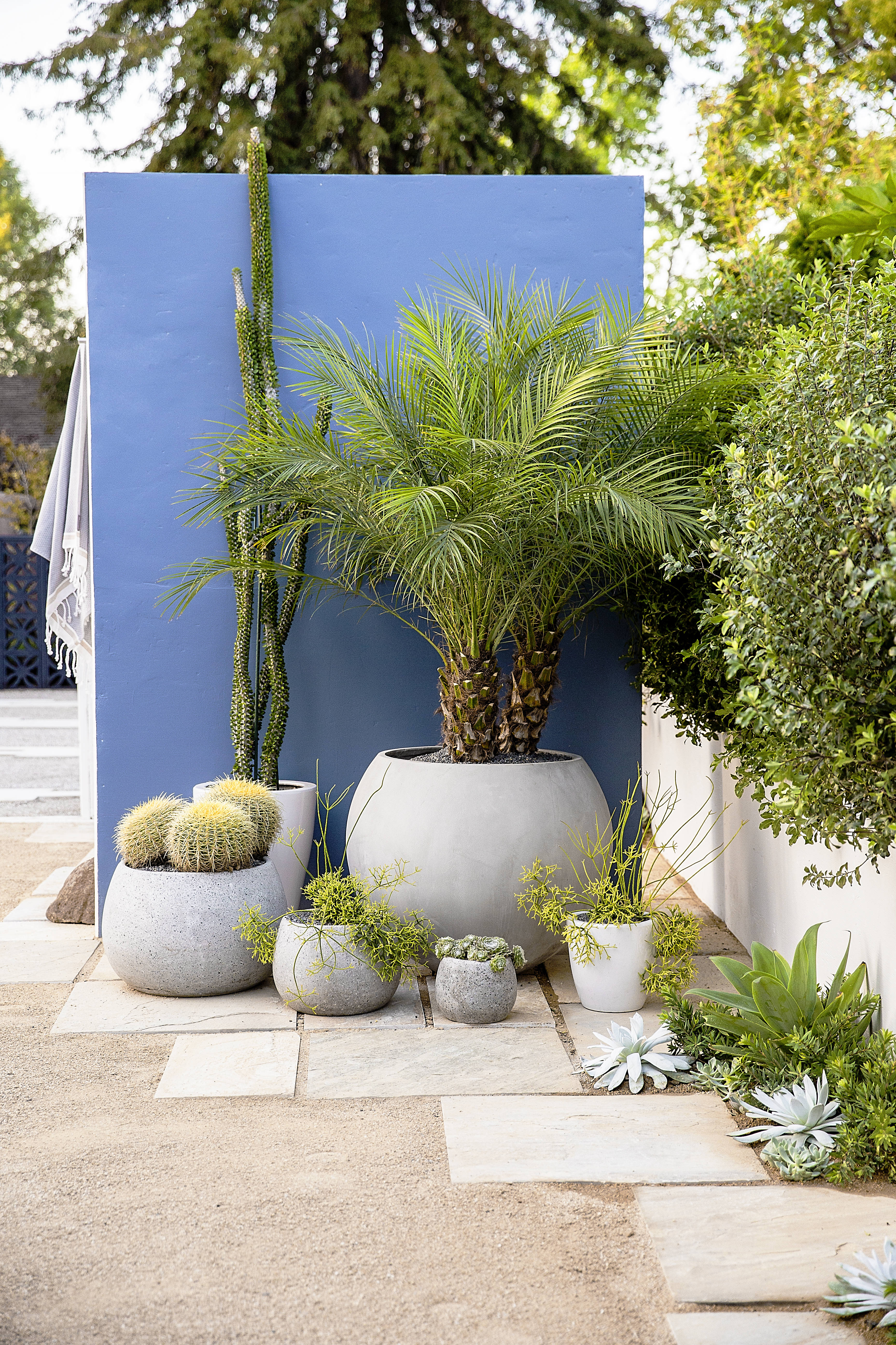 achieve-a-lush-effect