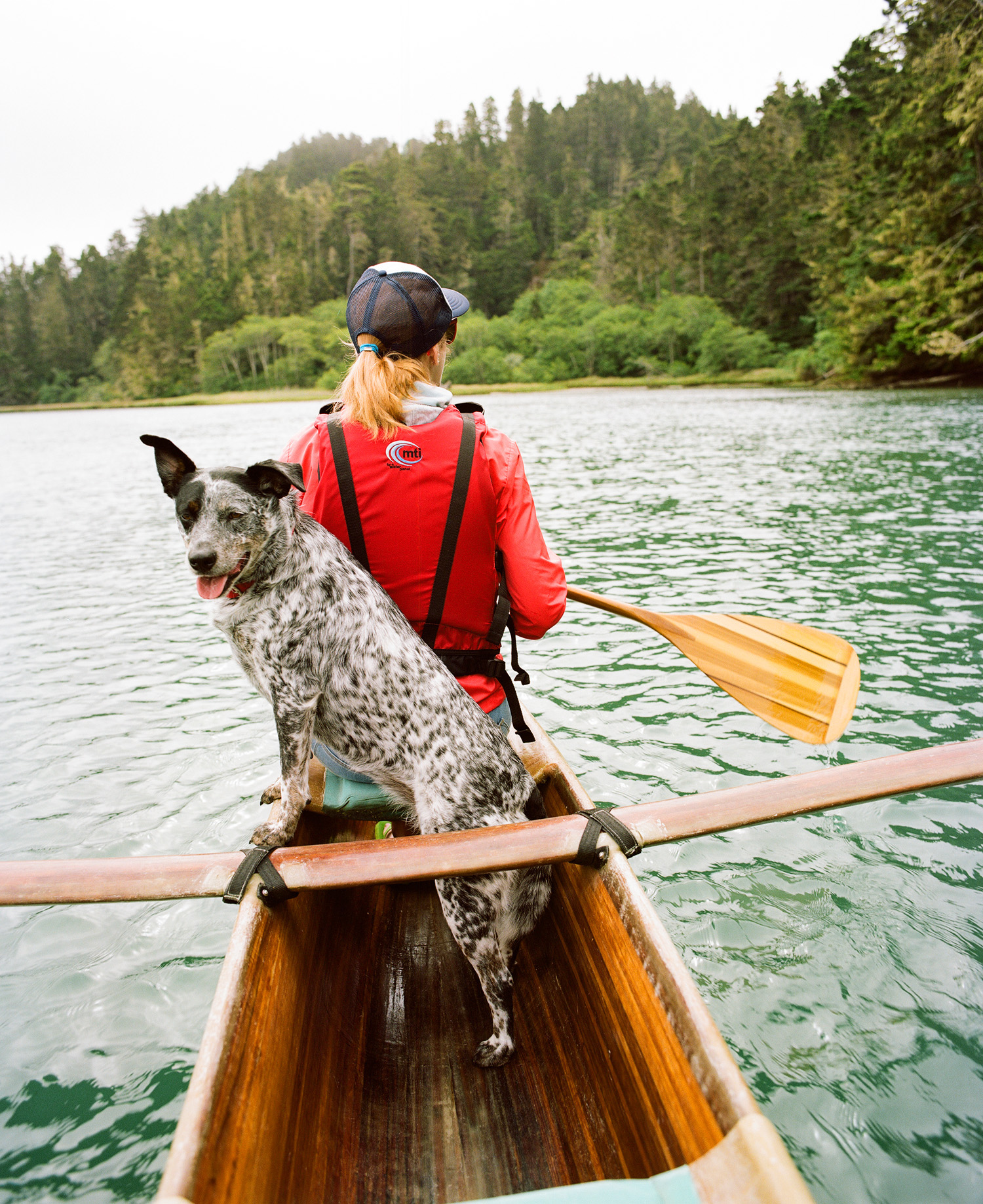Dog friendly vacations in Mendocino