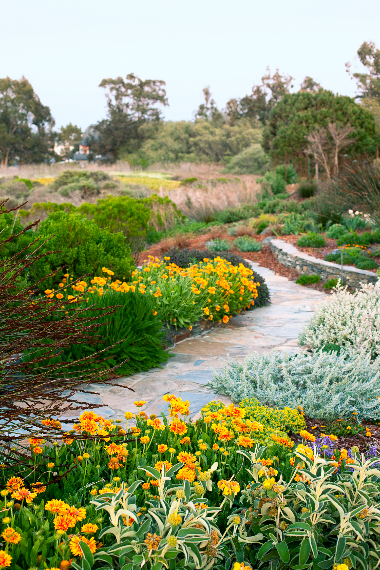 a-walk-through-color