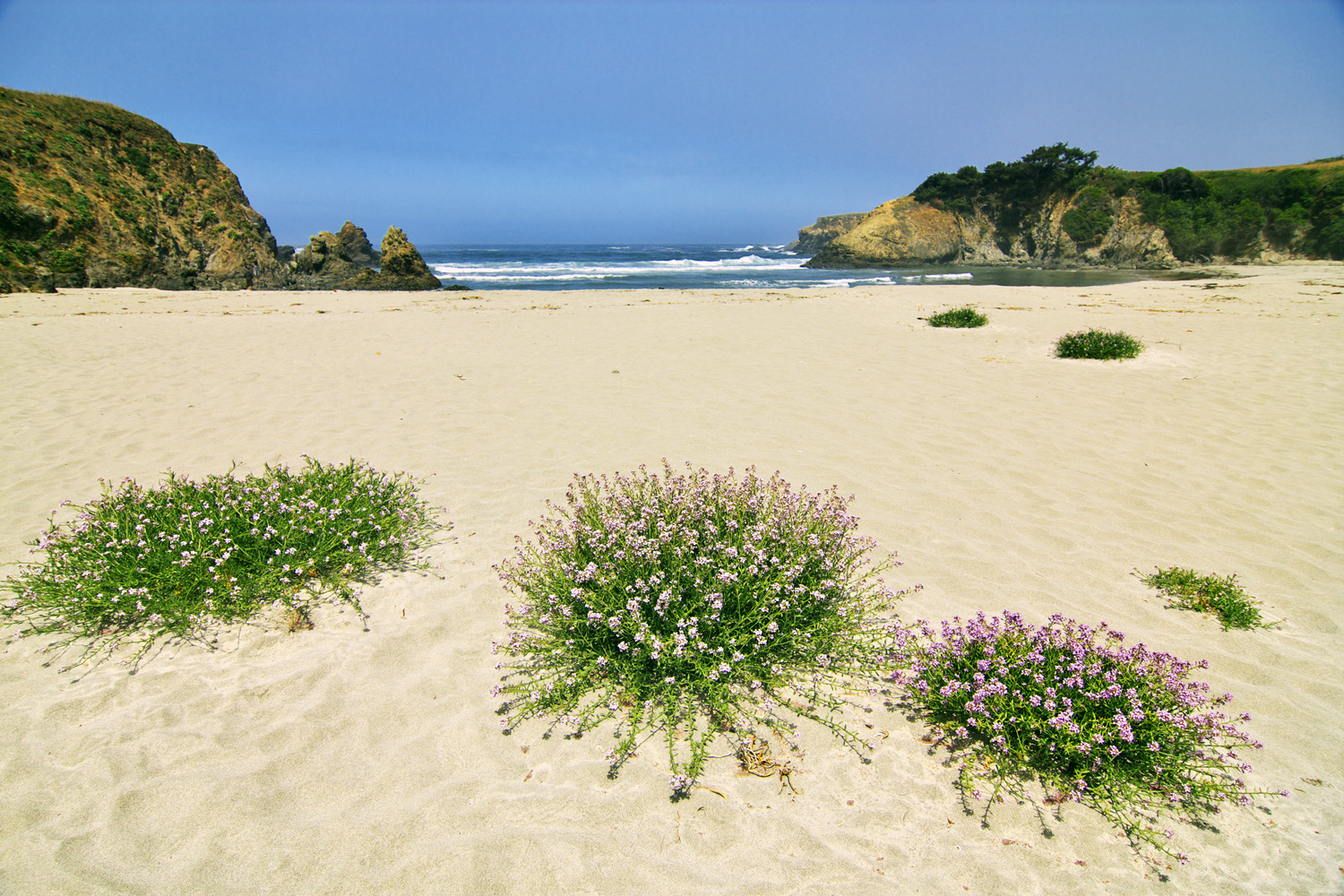 Beach Patio Design Tips Sunset Magazine