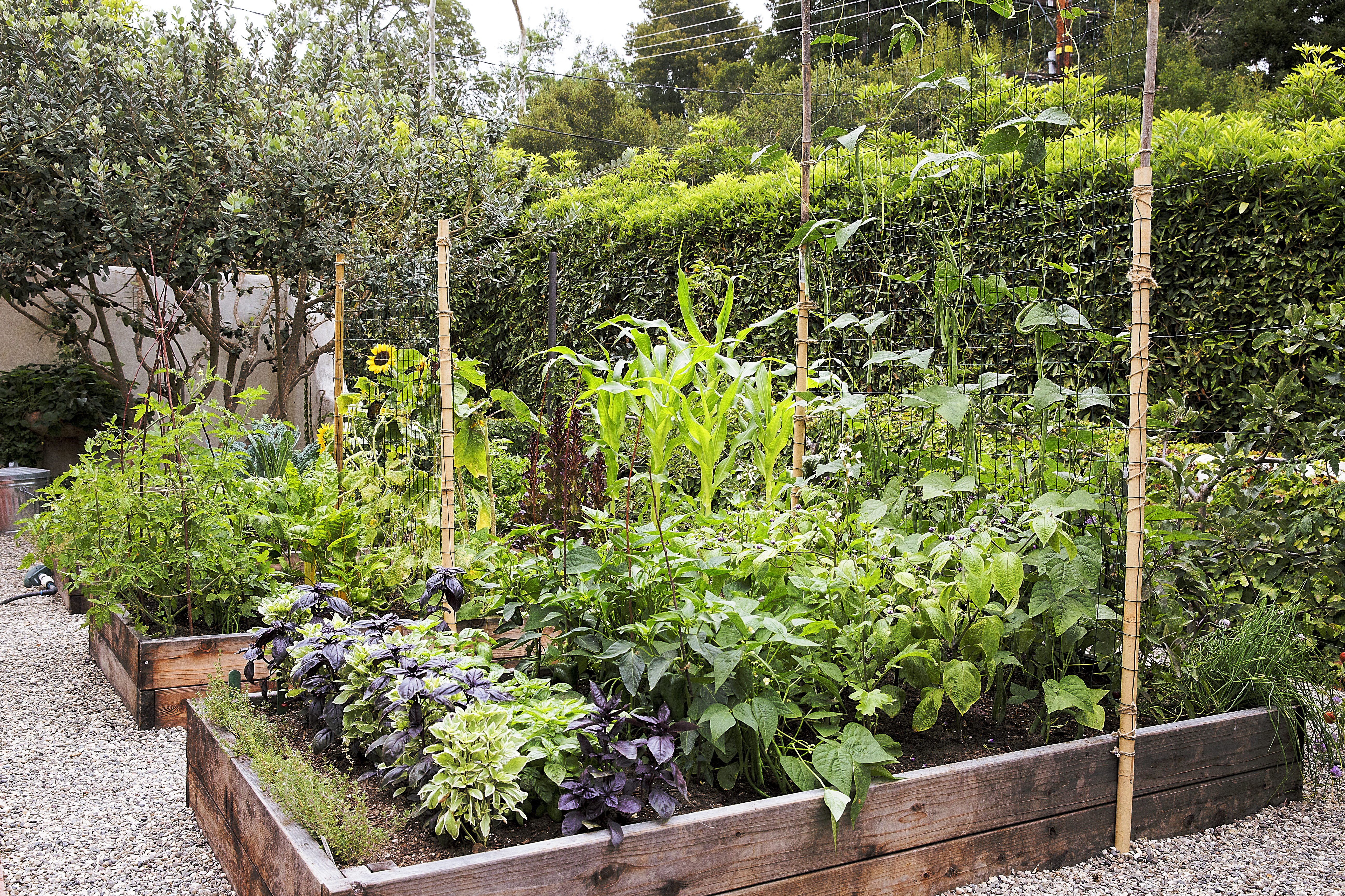 easy-raised-beds