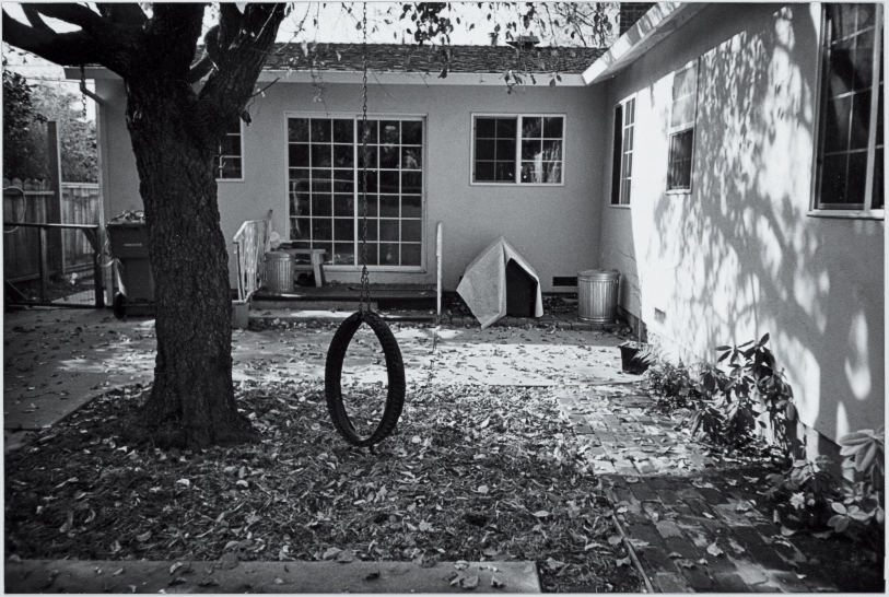 Bad, bad backyard photo contest rules