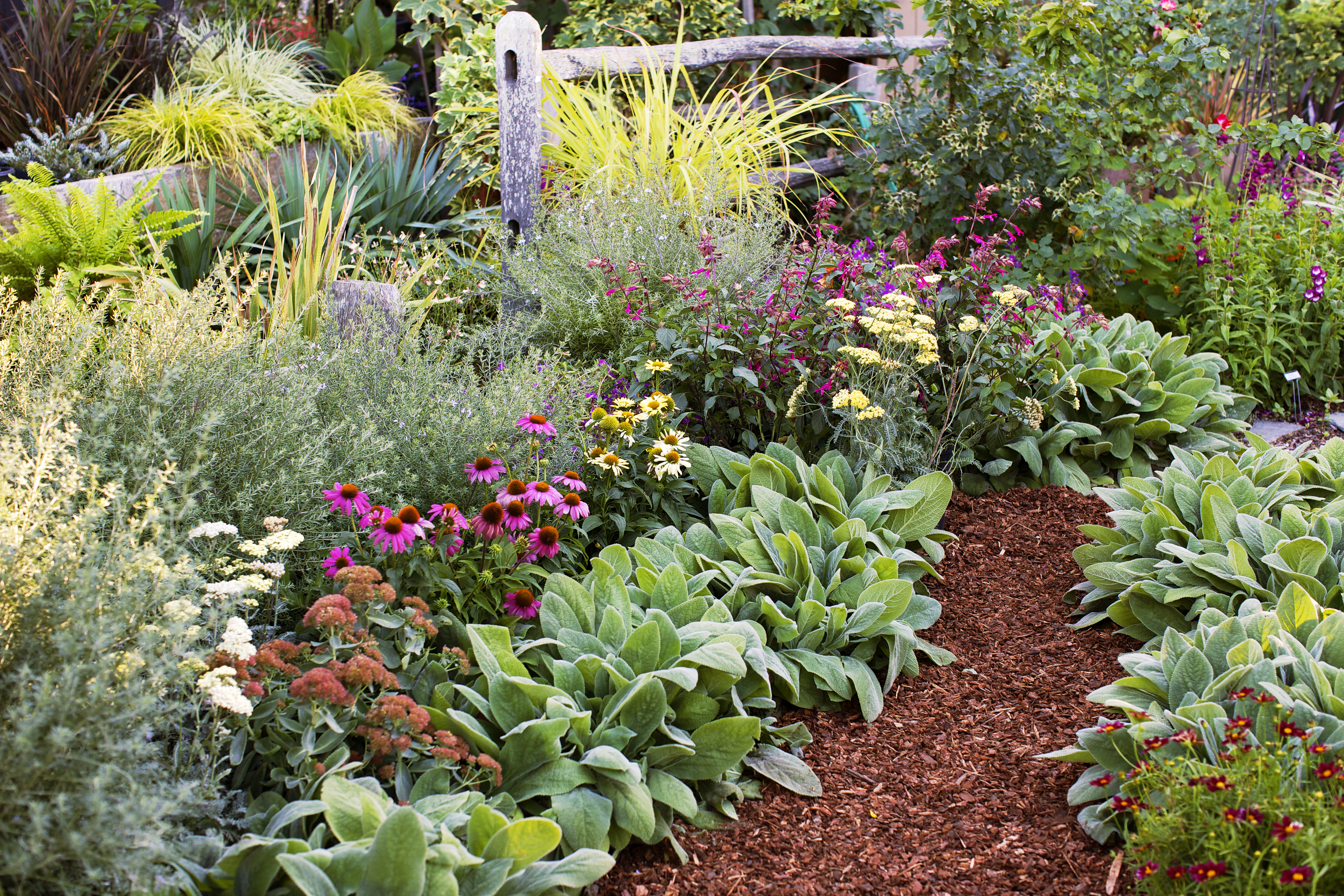 4 Easy Care Flower Bed Ideas Sunset Magazine