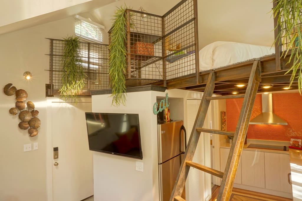 funky-studio-rosedale