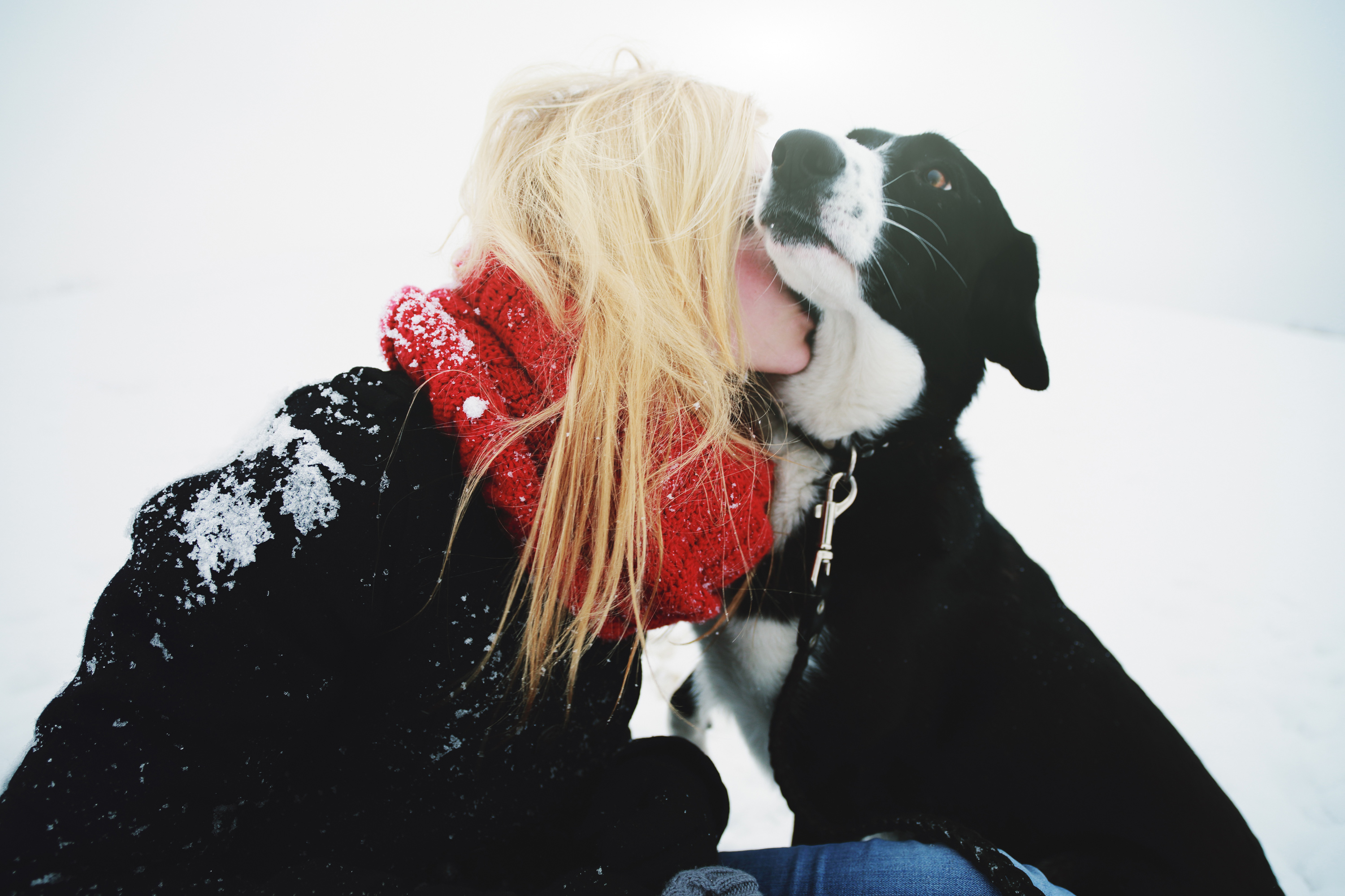 8 Subscription Boxes for the Loyal Pooch in Your Life