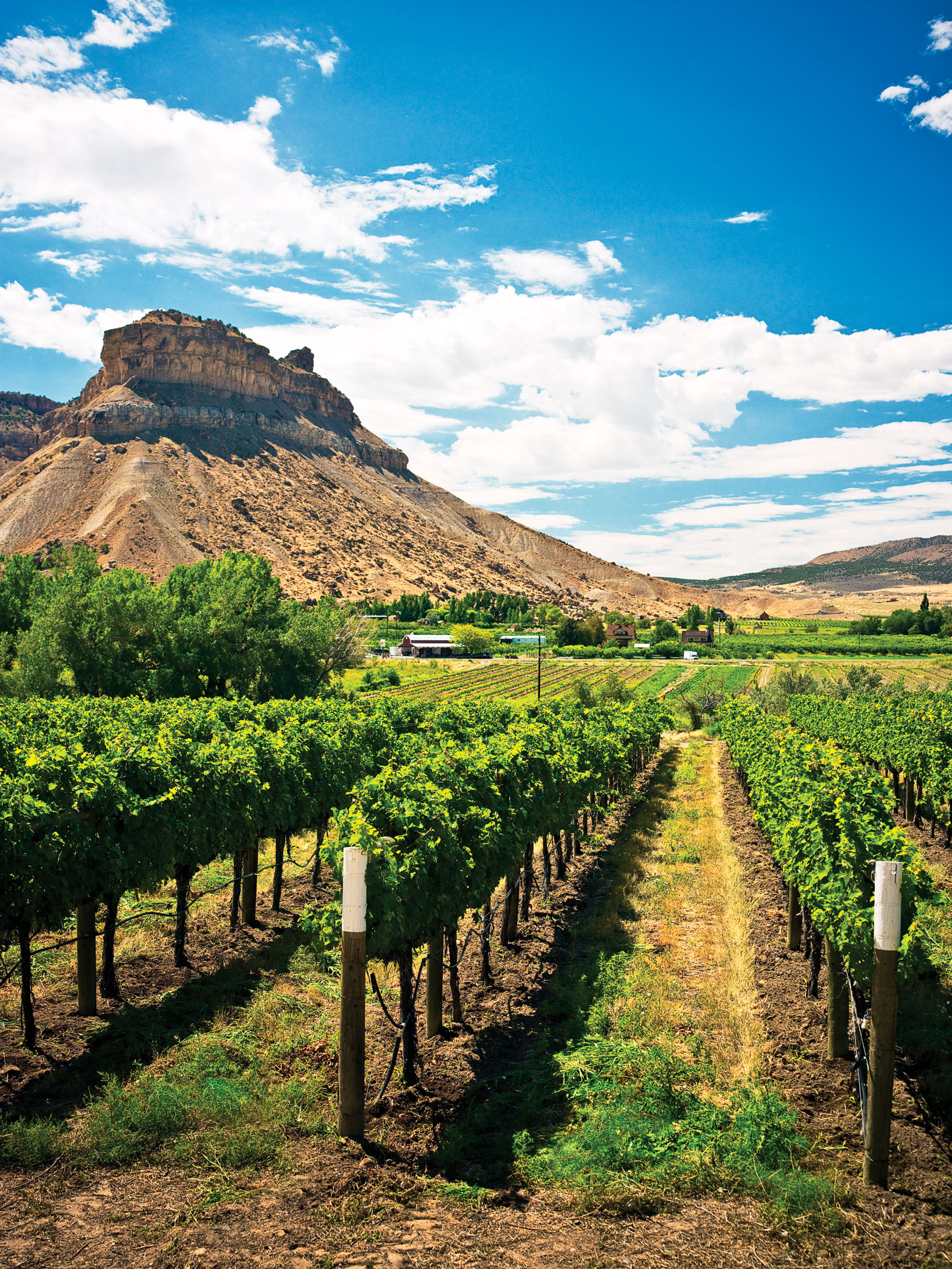 southwest-grand-valley-vs-snake-river-valley