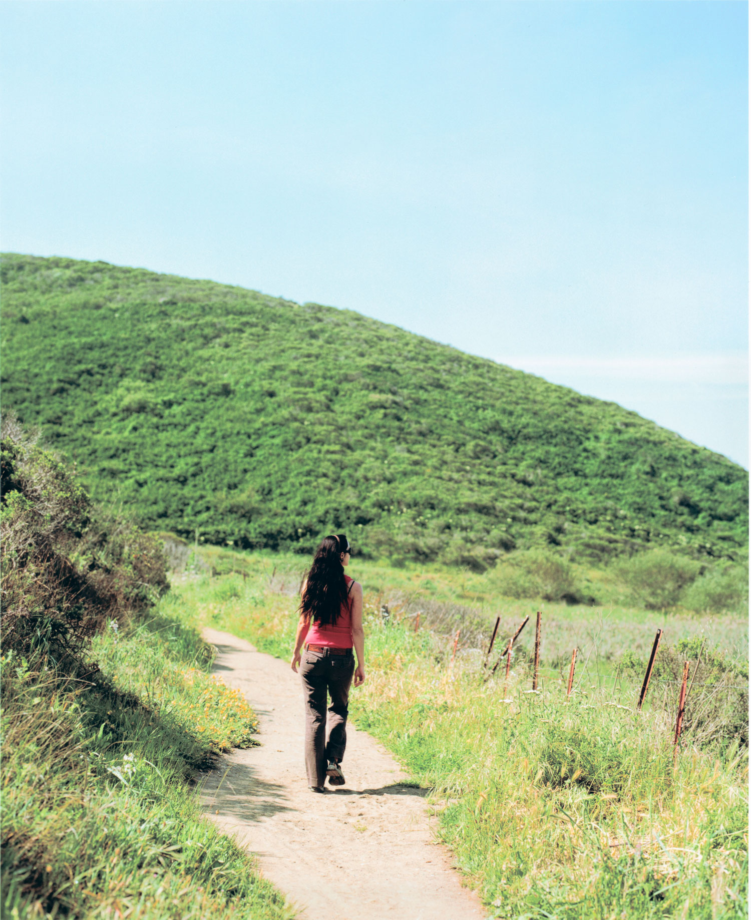 green-gulch-farm-zen-center