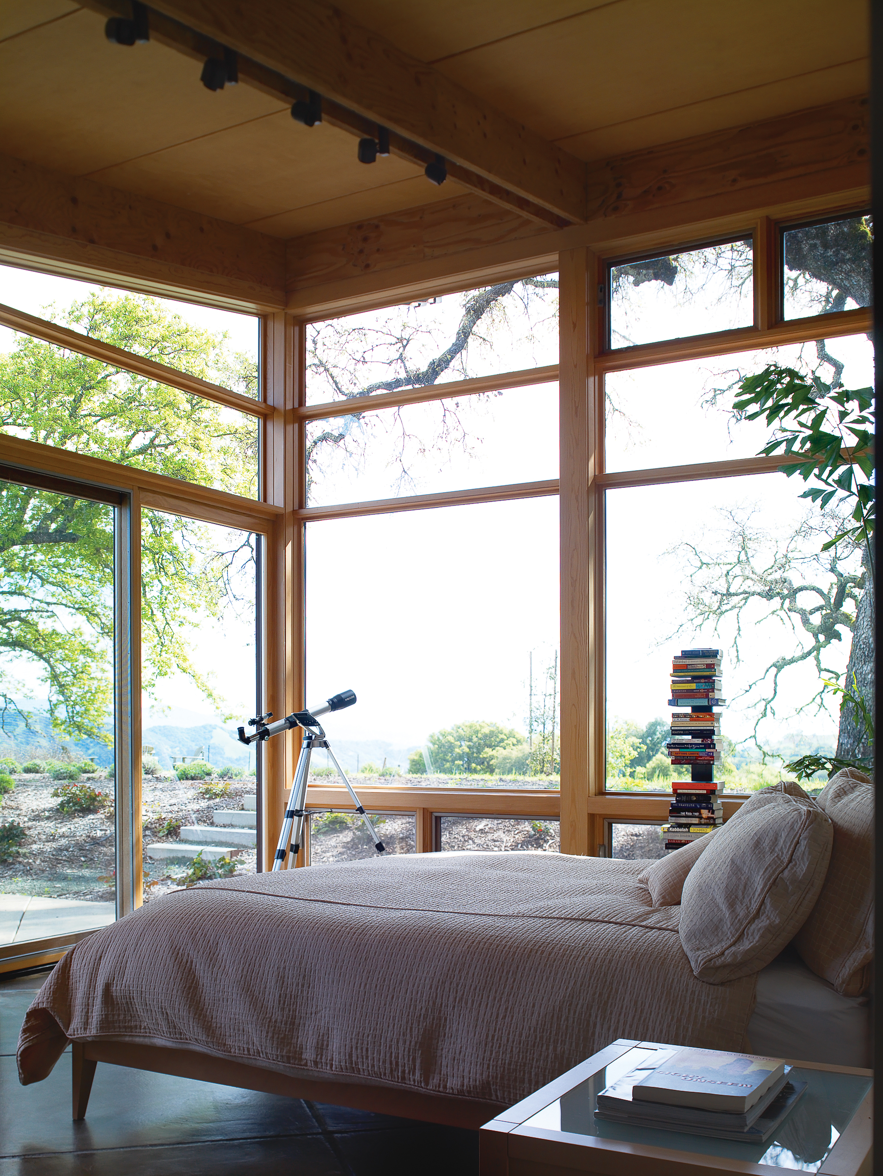 naturally-lit-rooms
