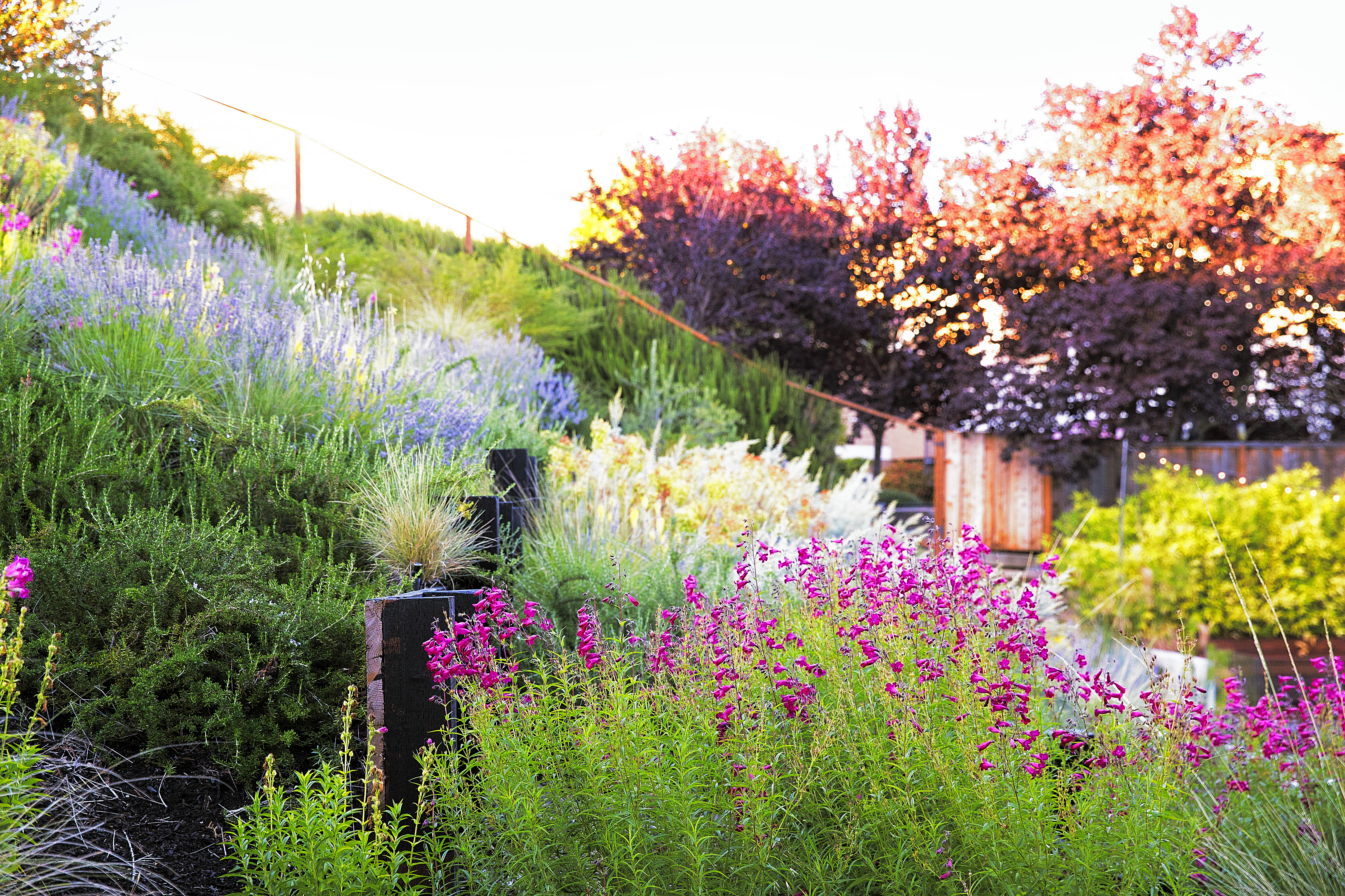 how-to-landscape-a-slope