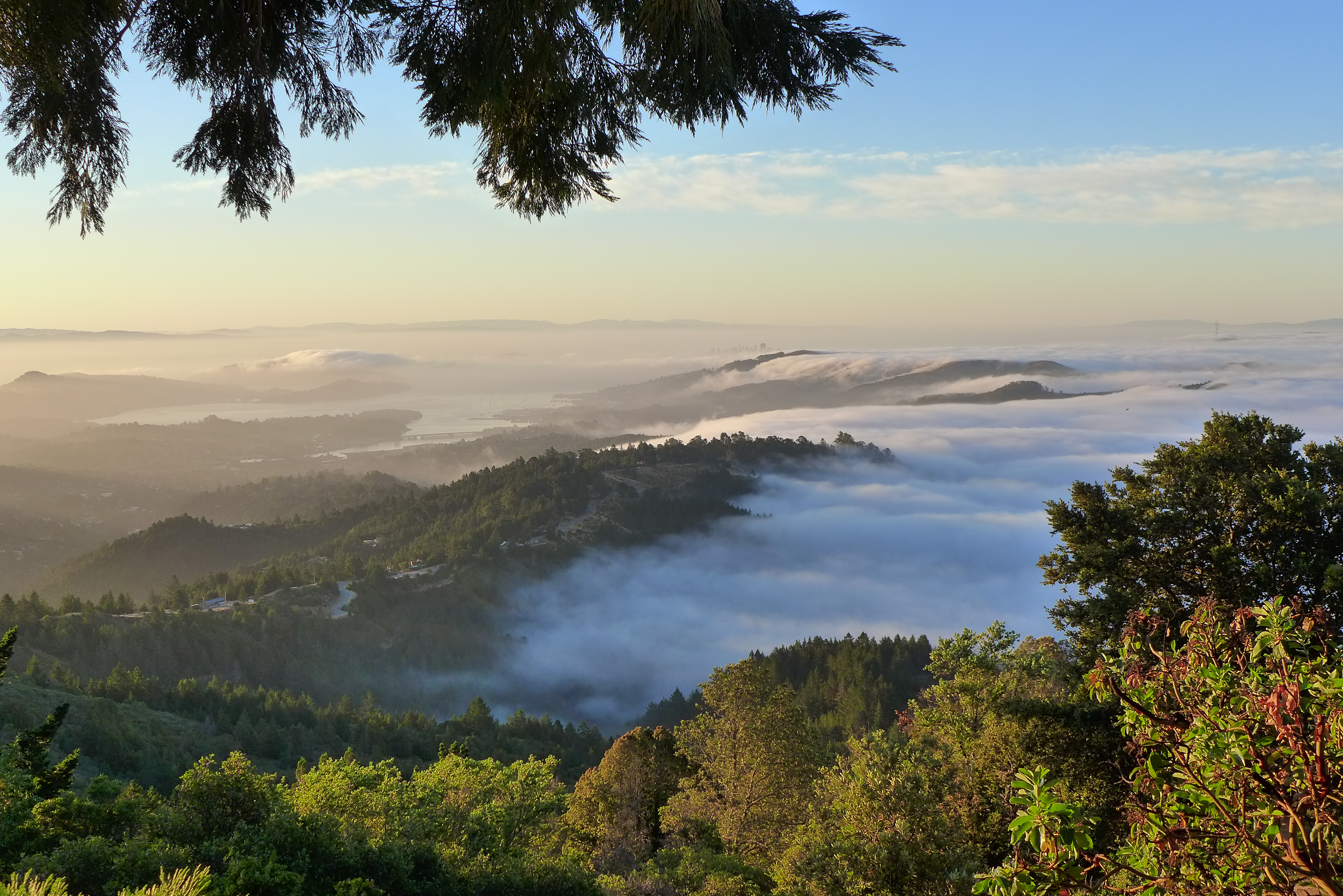 west-point-inn-mill-valley-ca