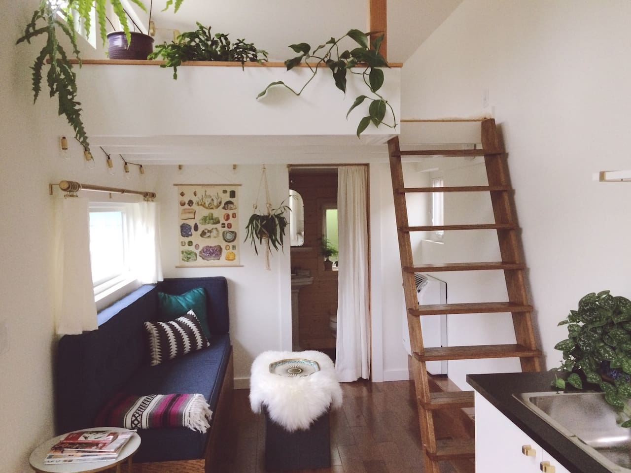 the-hummingbird-guesthouse-concordia