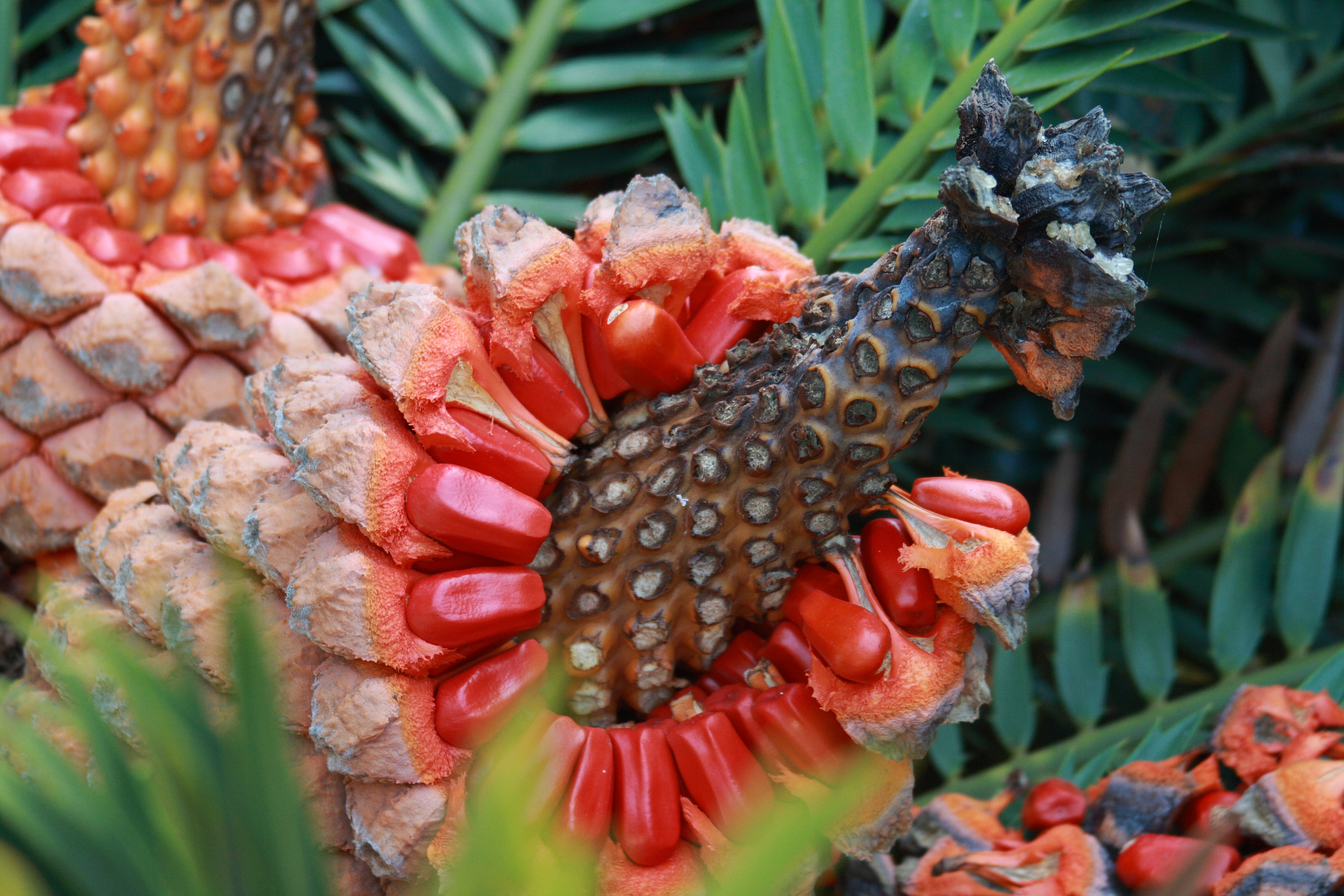 artful-gardens-near-santa-barbara-ca