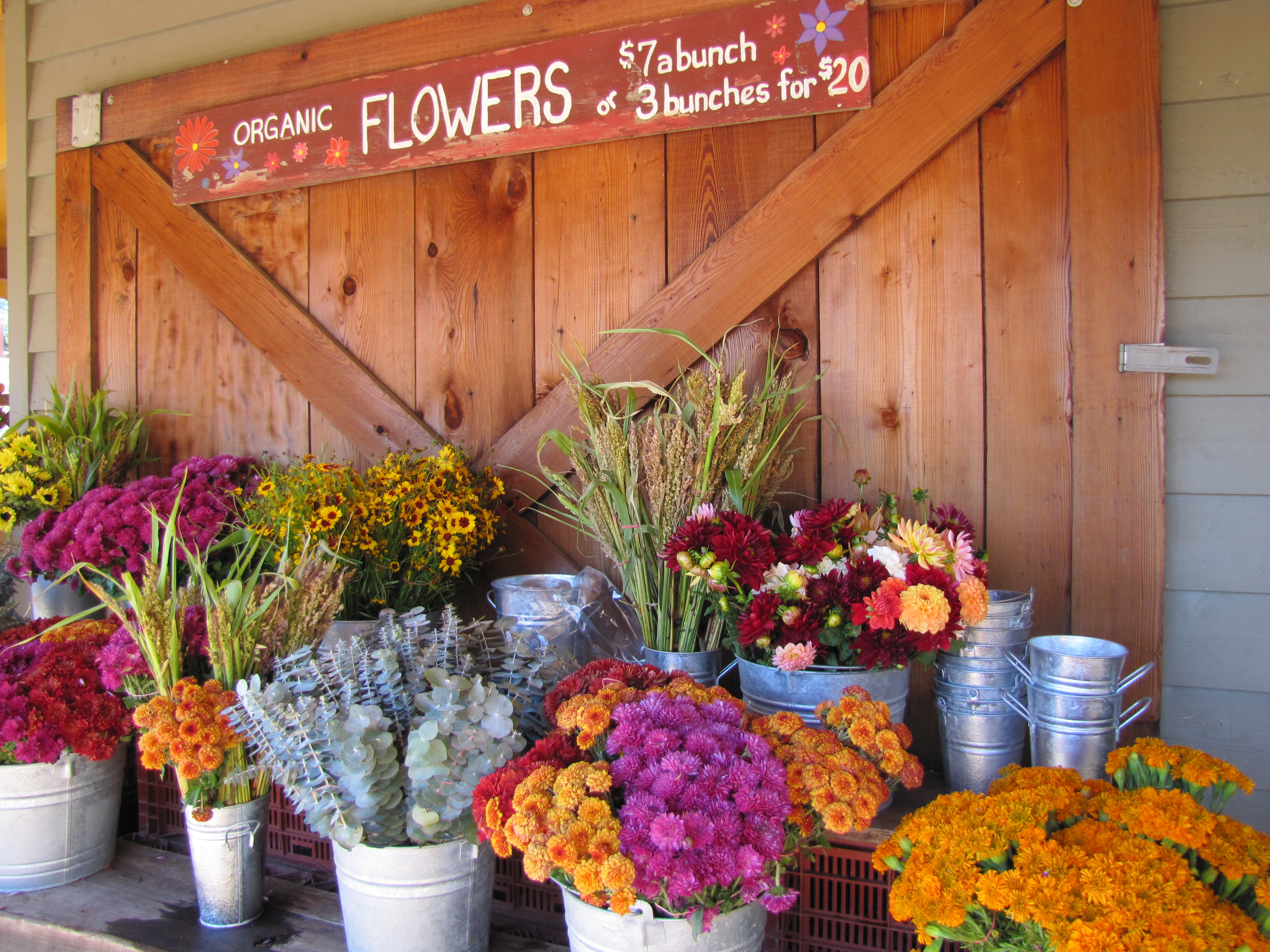 earthbound-farm-carmel-valley-ca
