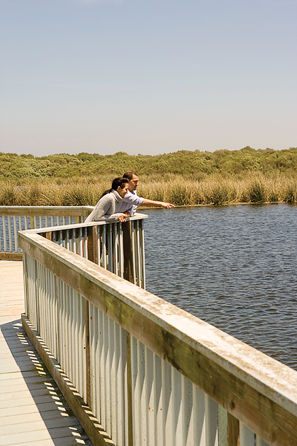 California Coast Escape