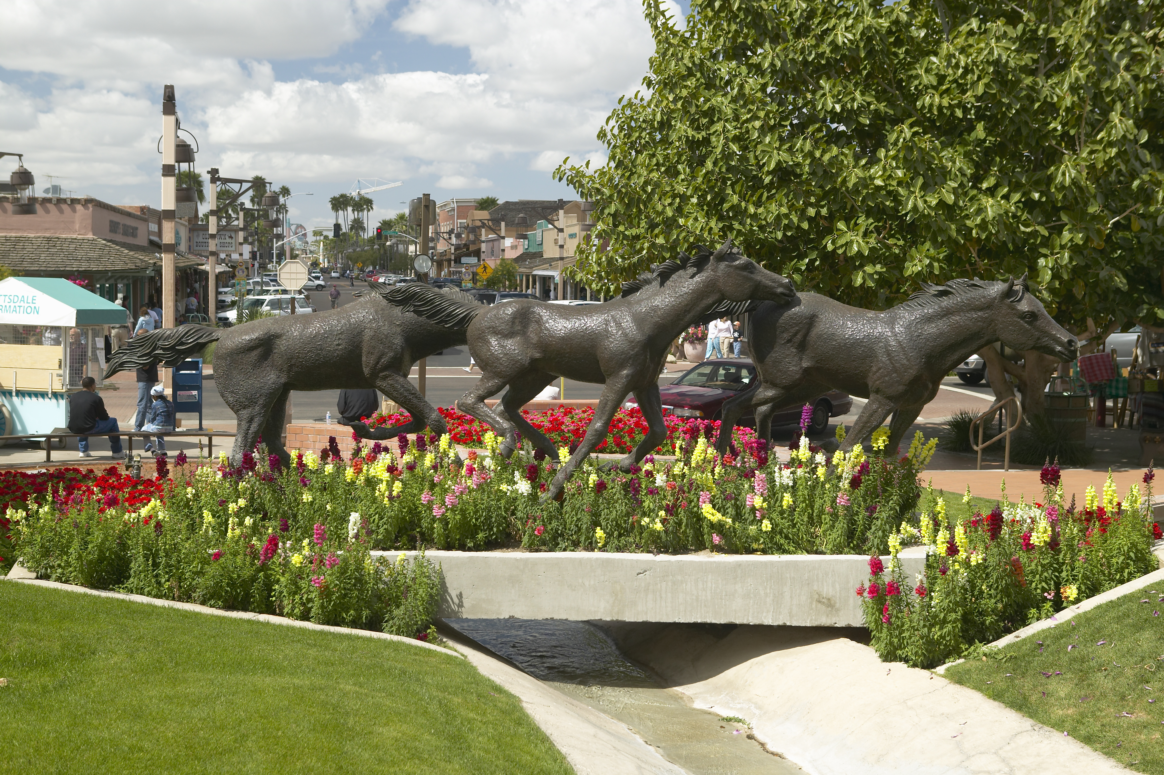 southwest-runner-up-scottsdale-az